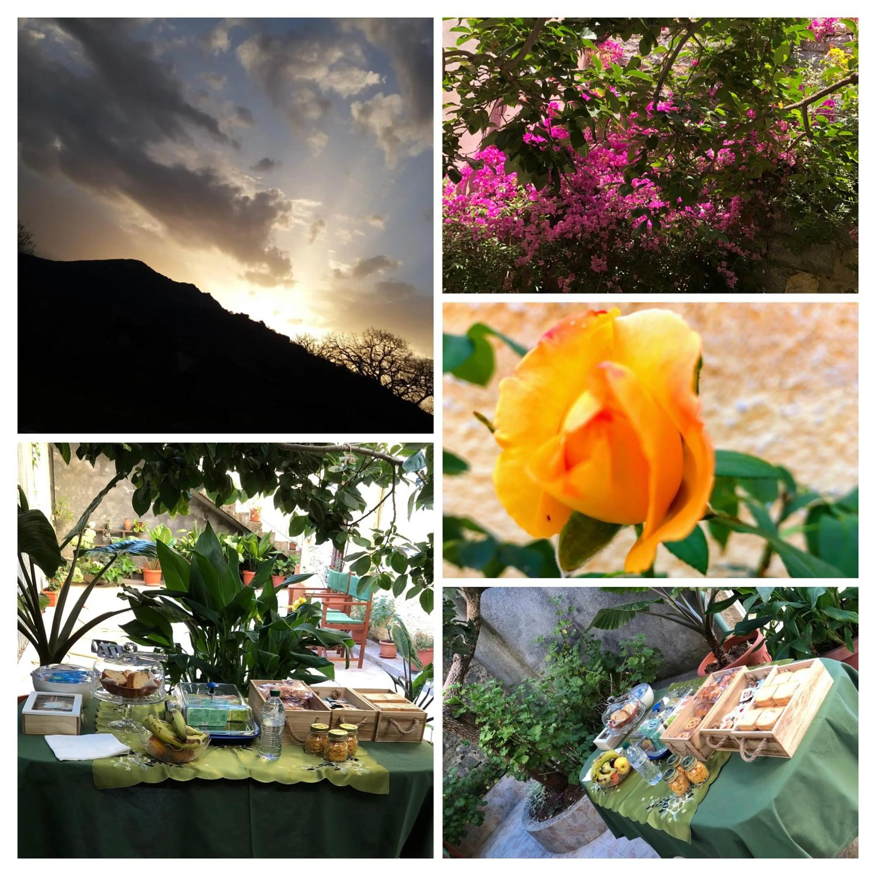 Breakfast in La Collina dei Ciliegi