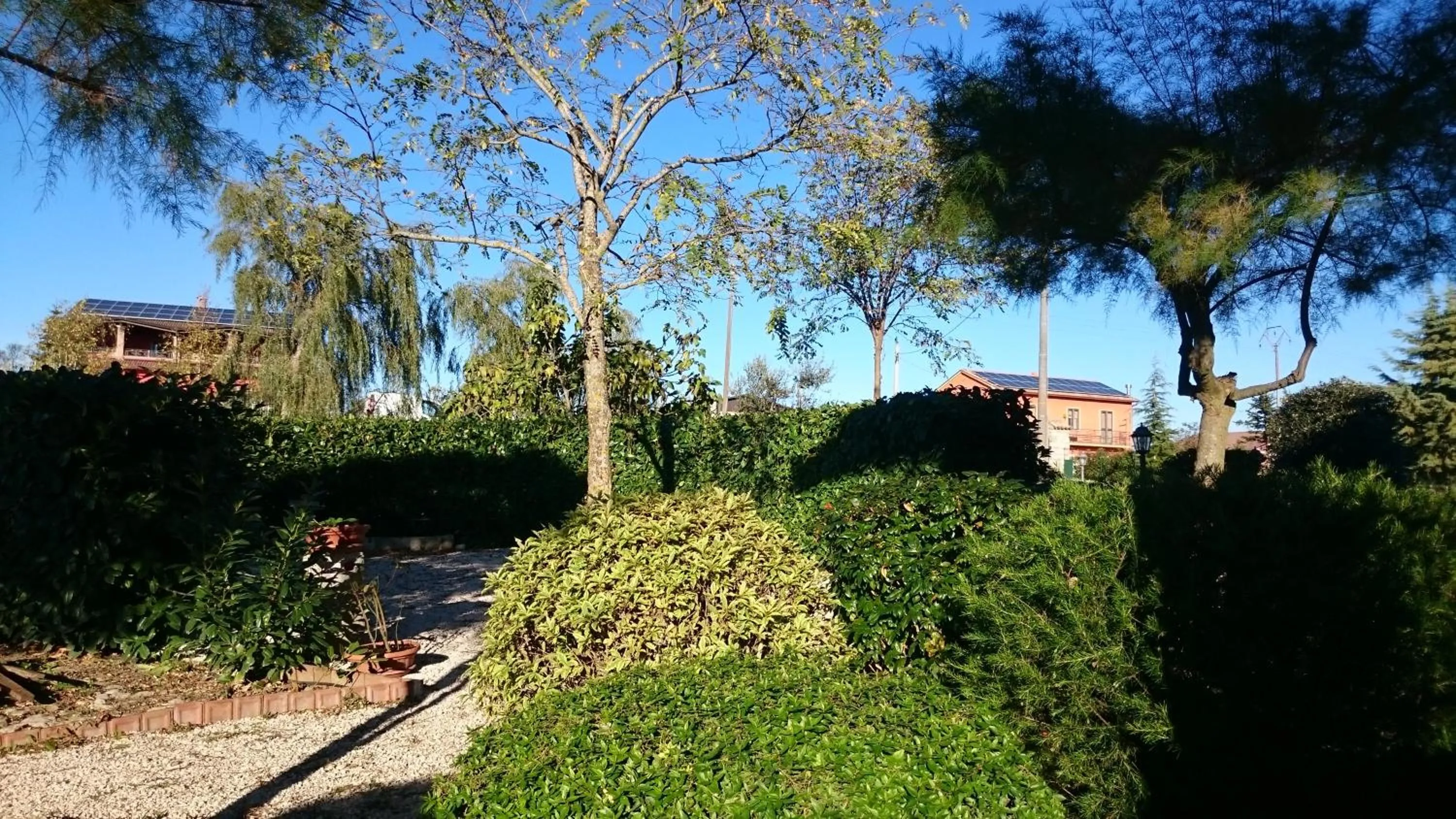 Garden view in B&B Verde Irpinia