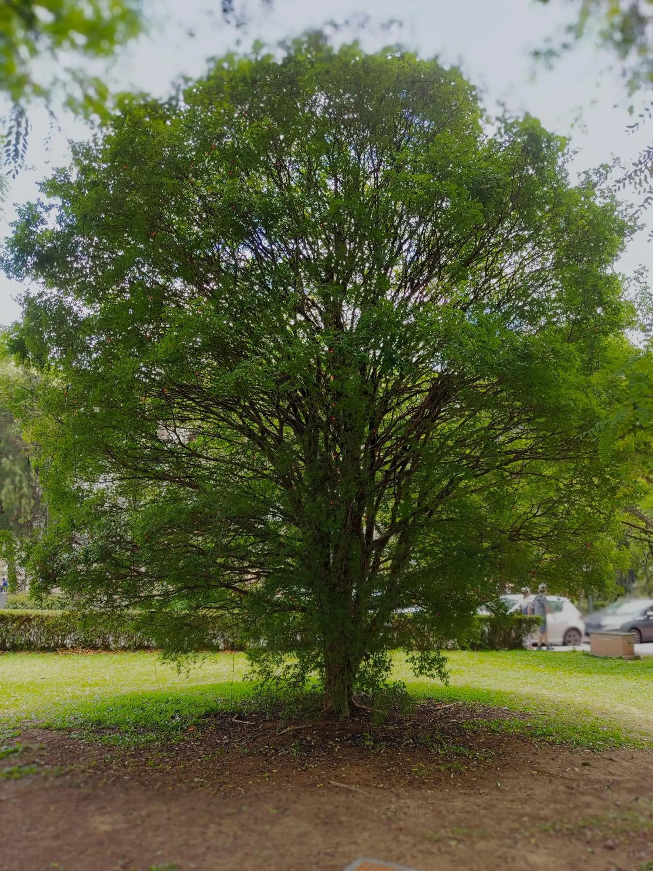 View (from property/room) in MOVA Hotel D'oeste - Localizado em frente a Praça Principal da Cidade, na área Central - Pé na Praça
