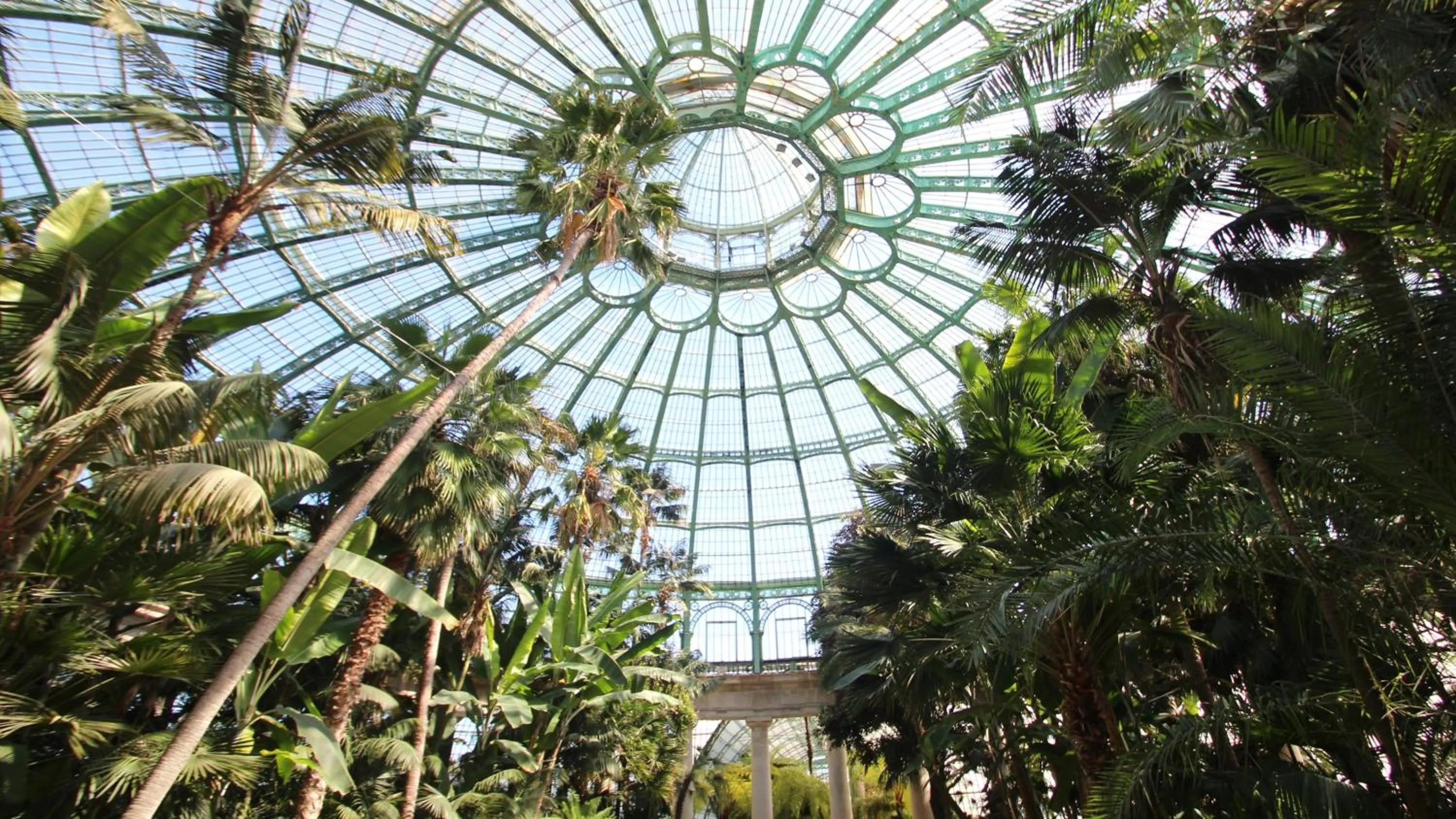 Area and facilities in Hotel Indigo Brussels - City by IHG