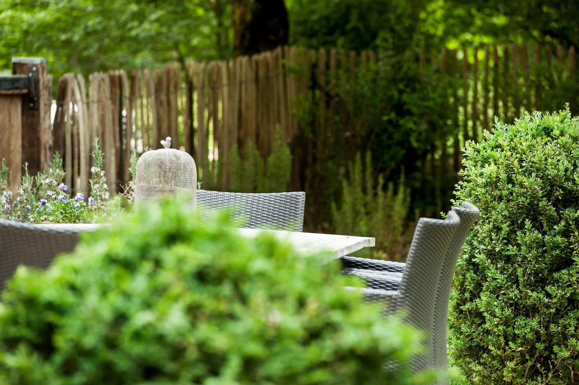 Garden in La Closerie de Sarlat Maison d hôtes de charme