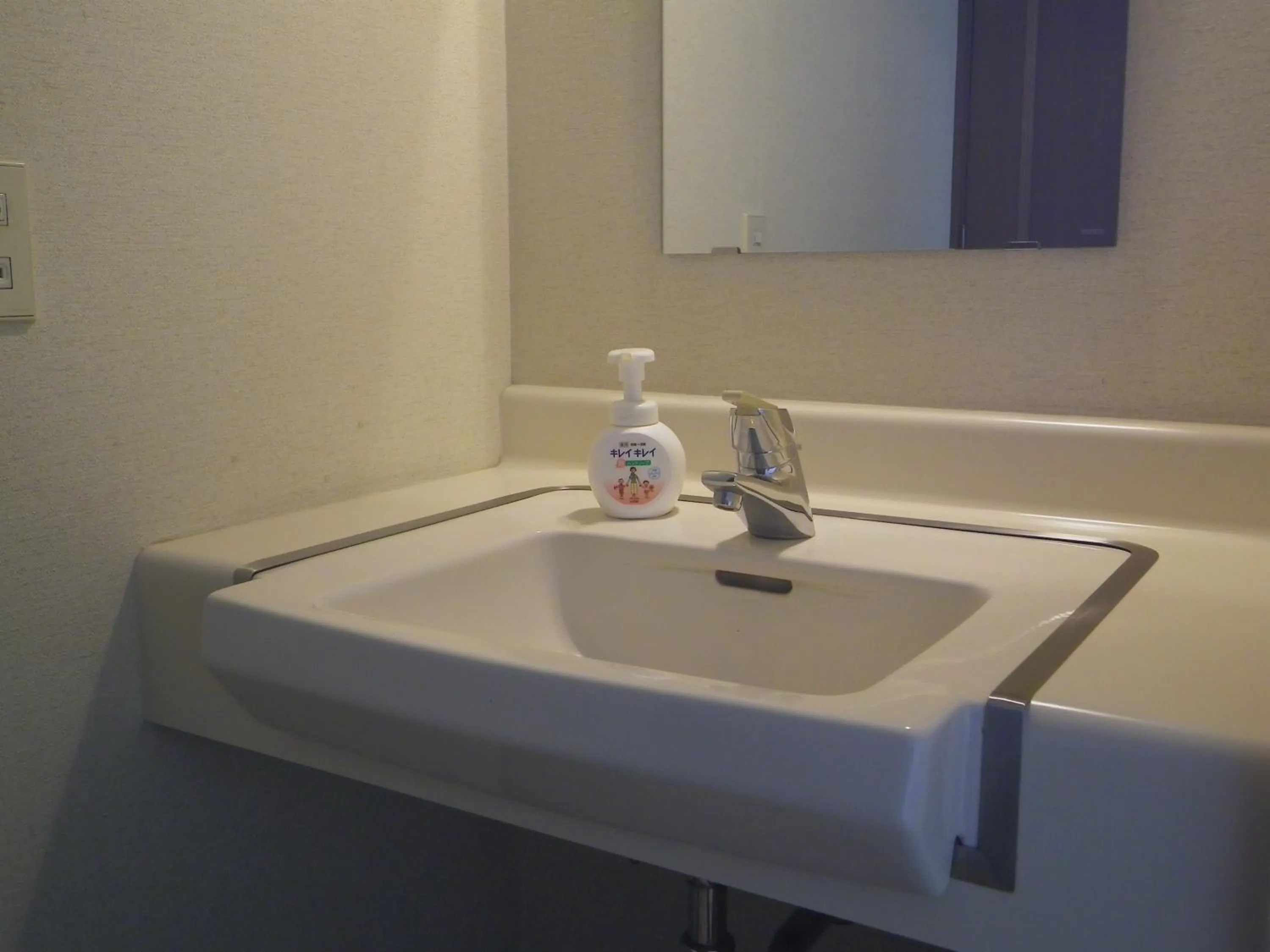 Skiing in Resort Inn Murata