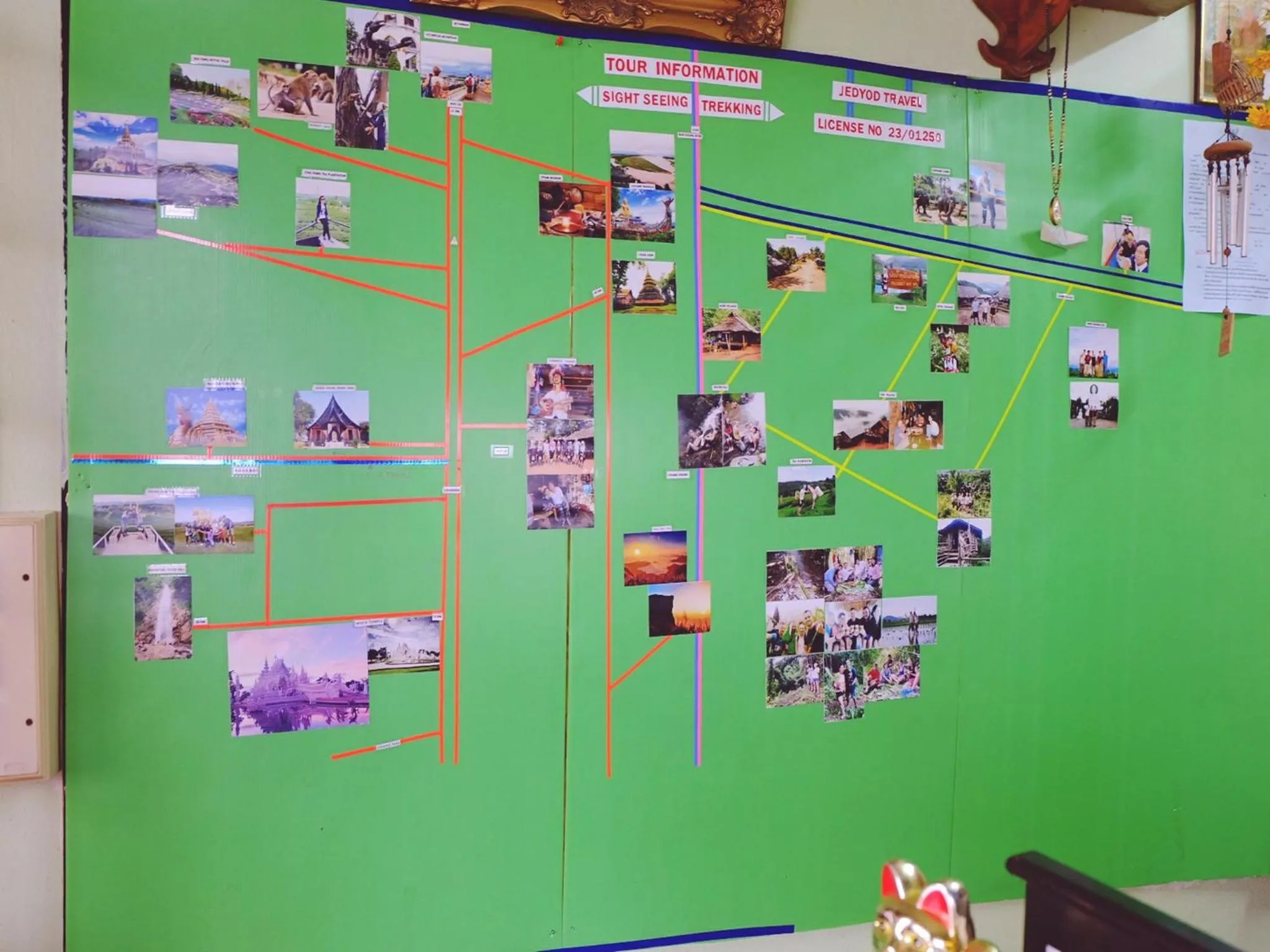 Property building in Orchid House