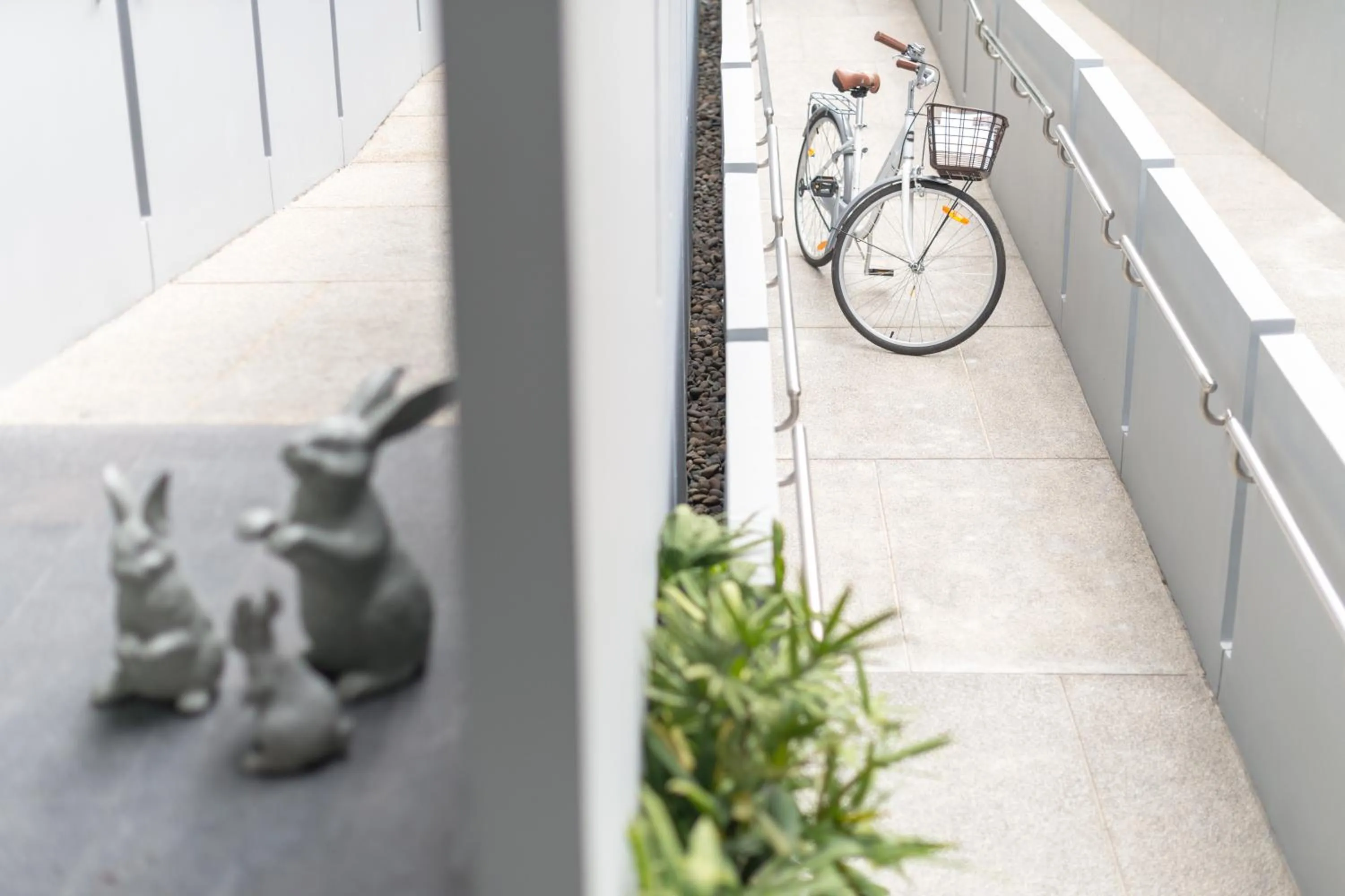 Activities in Saturdays Residence by Brown Starling