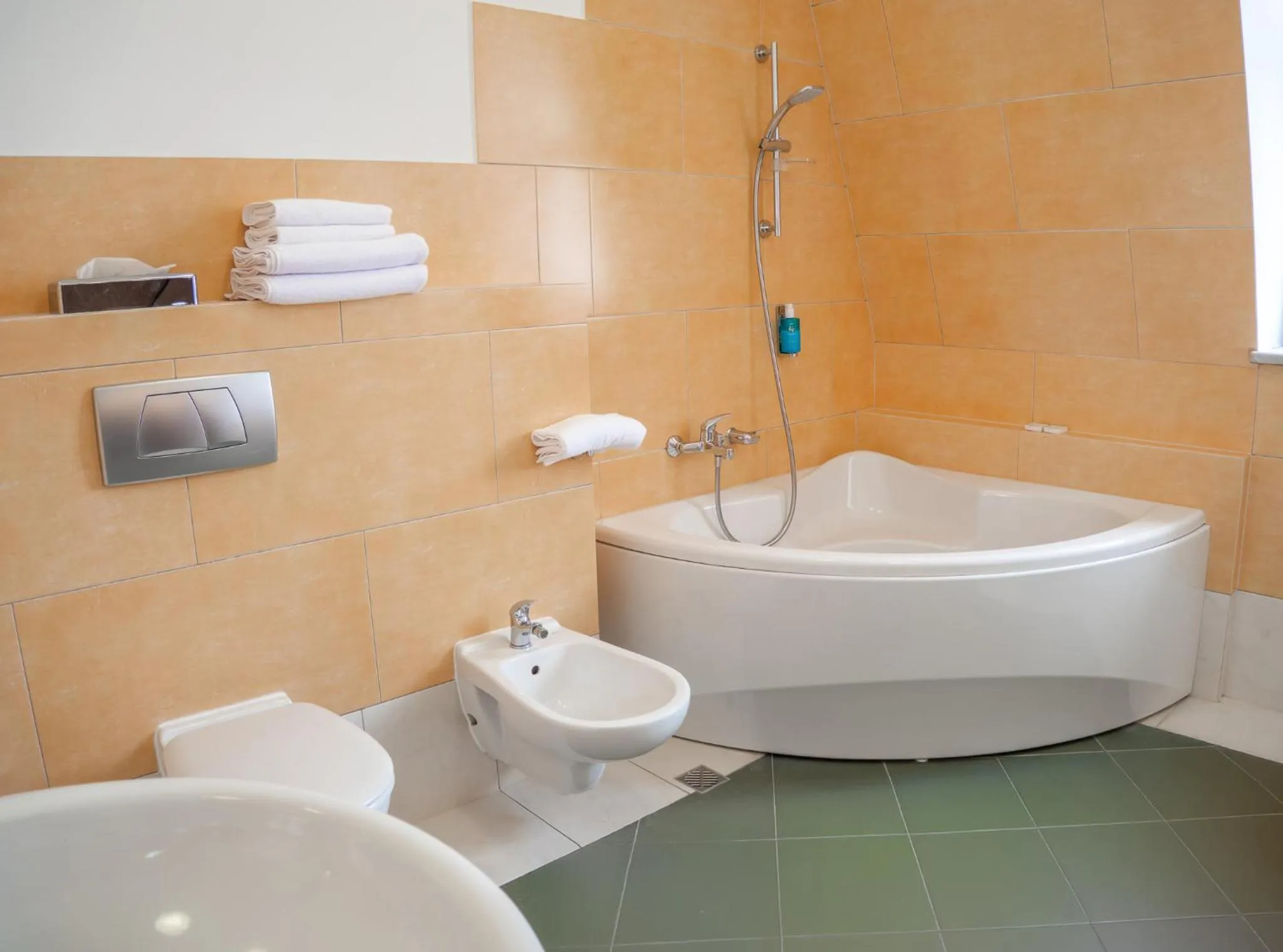 Toilet in Hotel Palladian