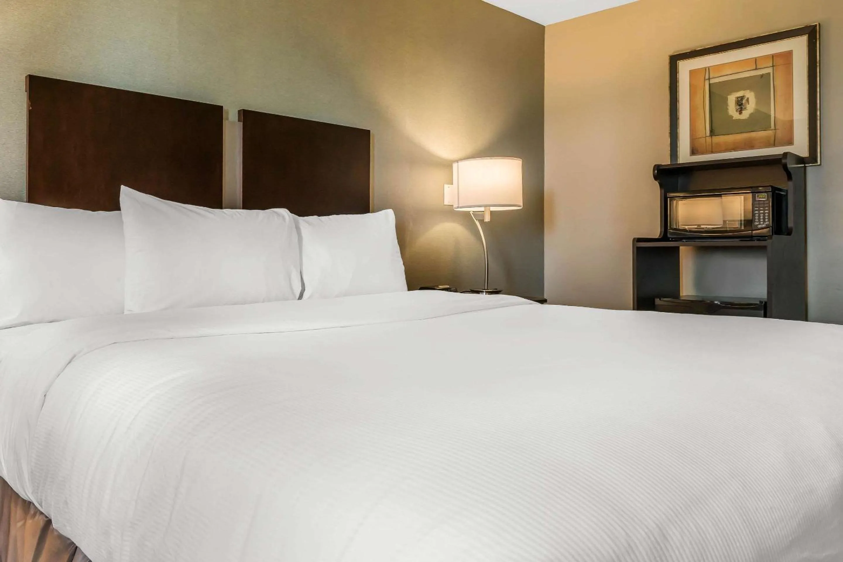 Bedroom in Clarion Inn Belle Vernon