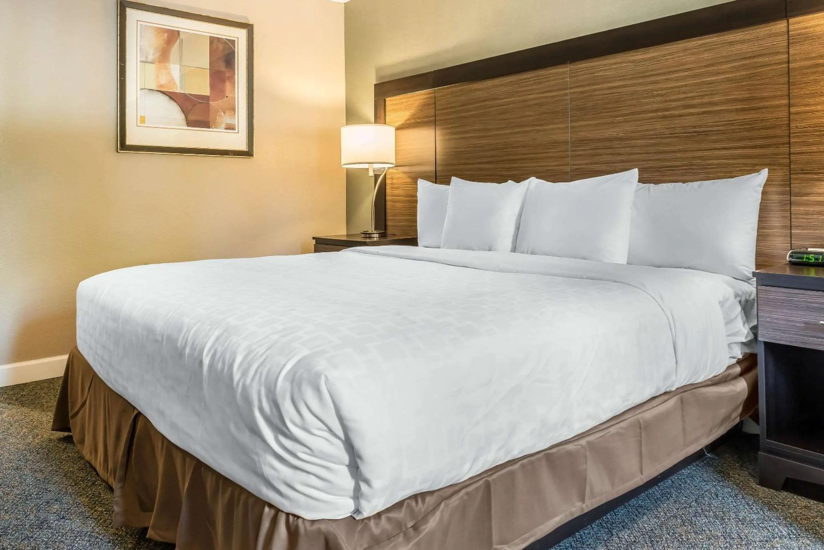 Bedroom in Clarion Inn Belle Vernon