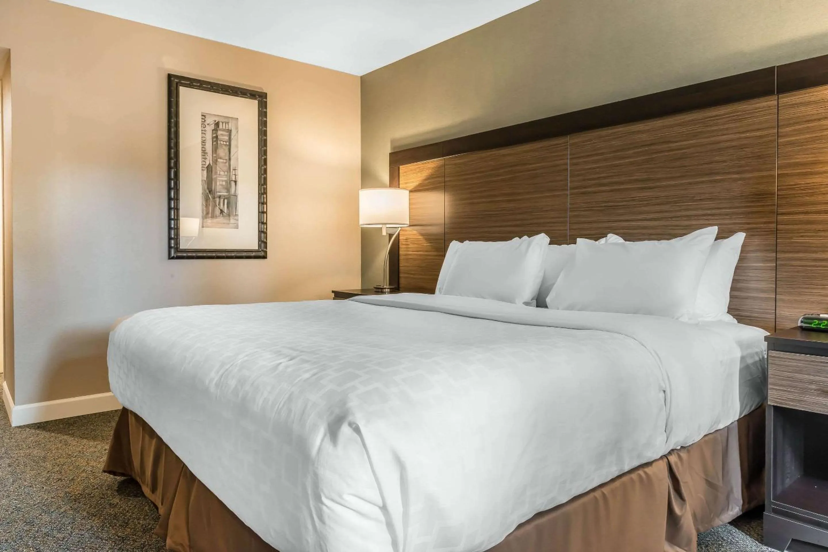 Bedroom in Clarion Inn Belle Vernon