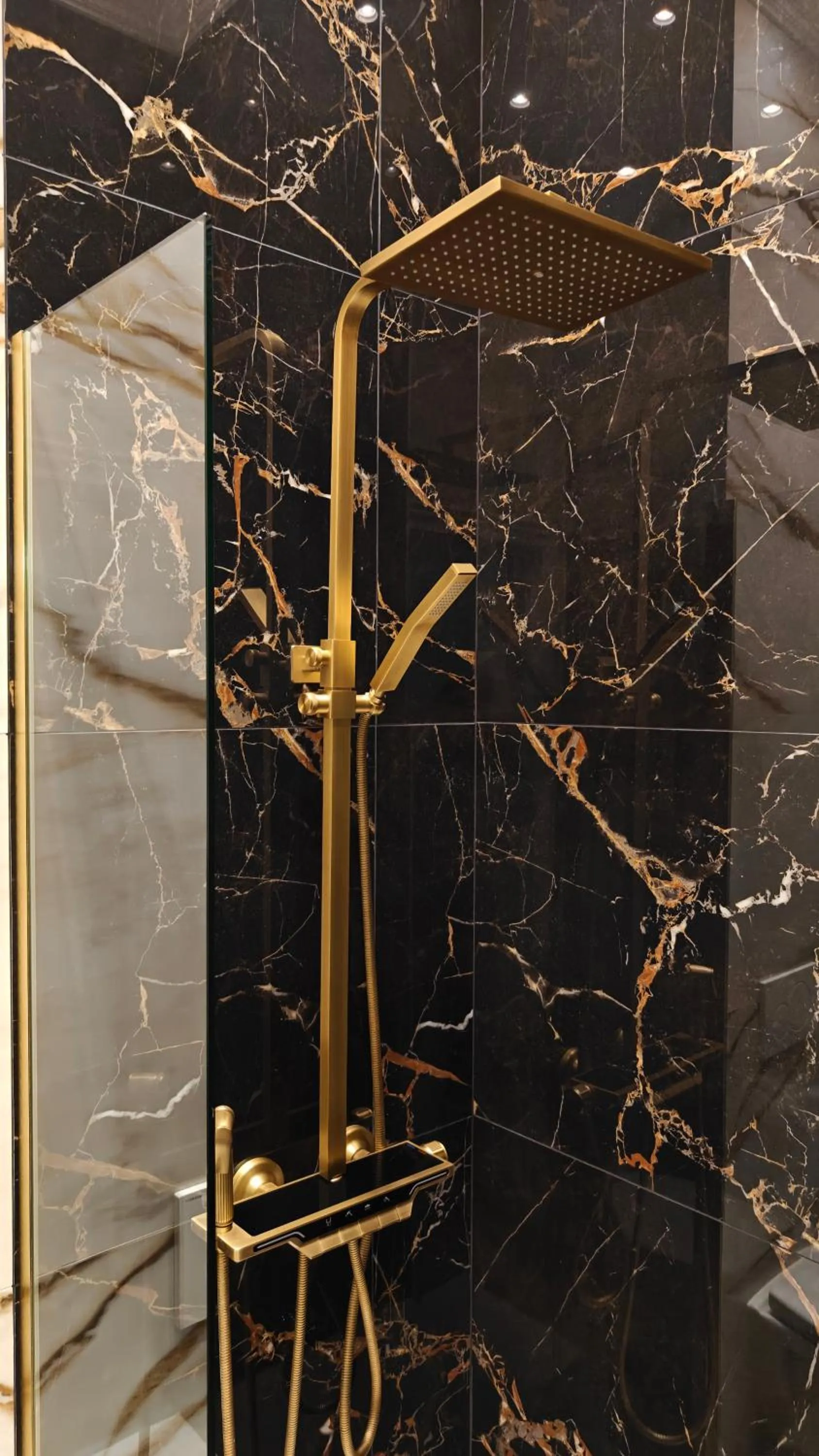 Shower in Hotel Leopold