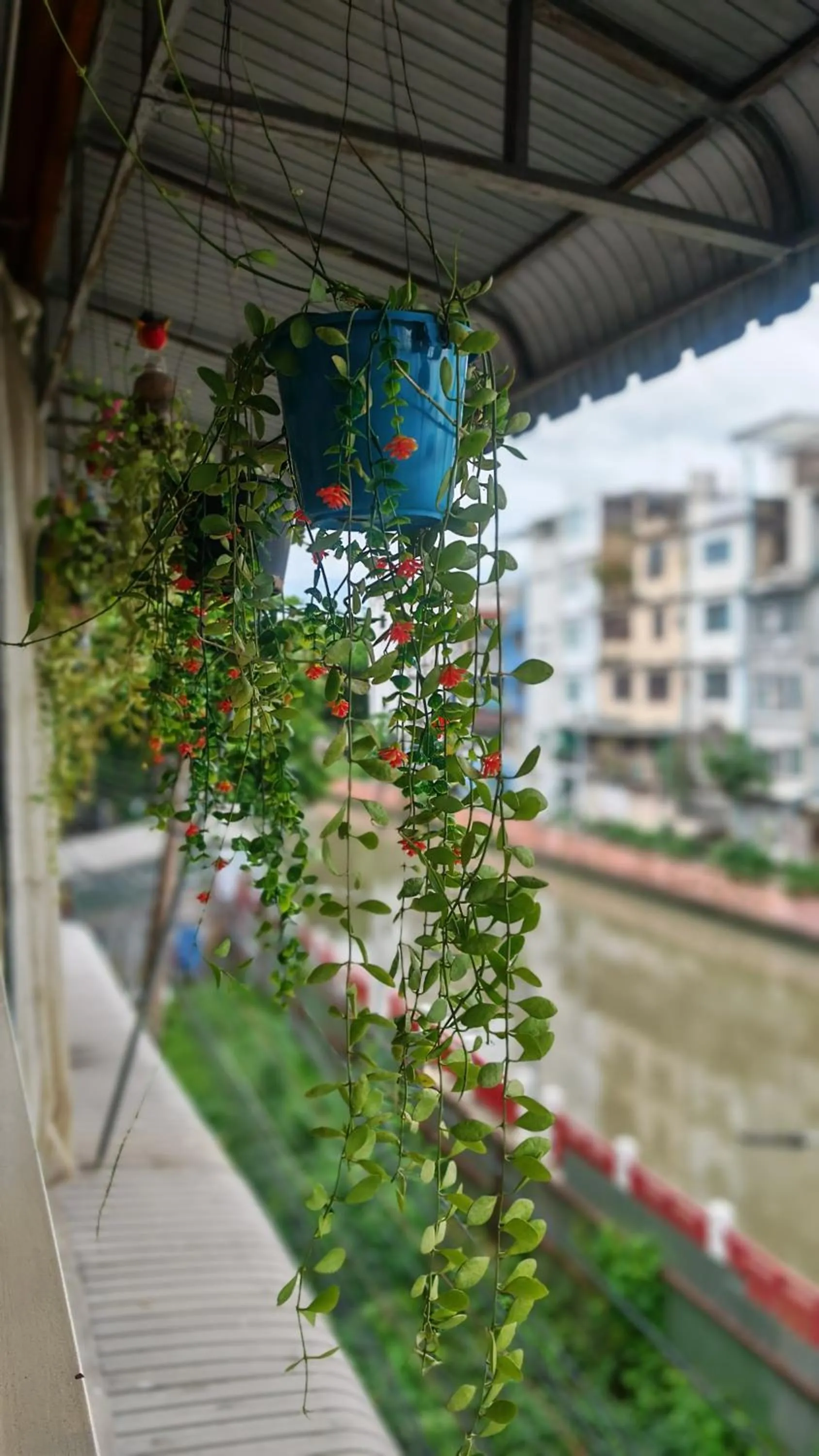 Day in Baan Nampetch Hostel