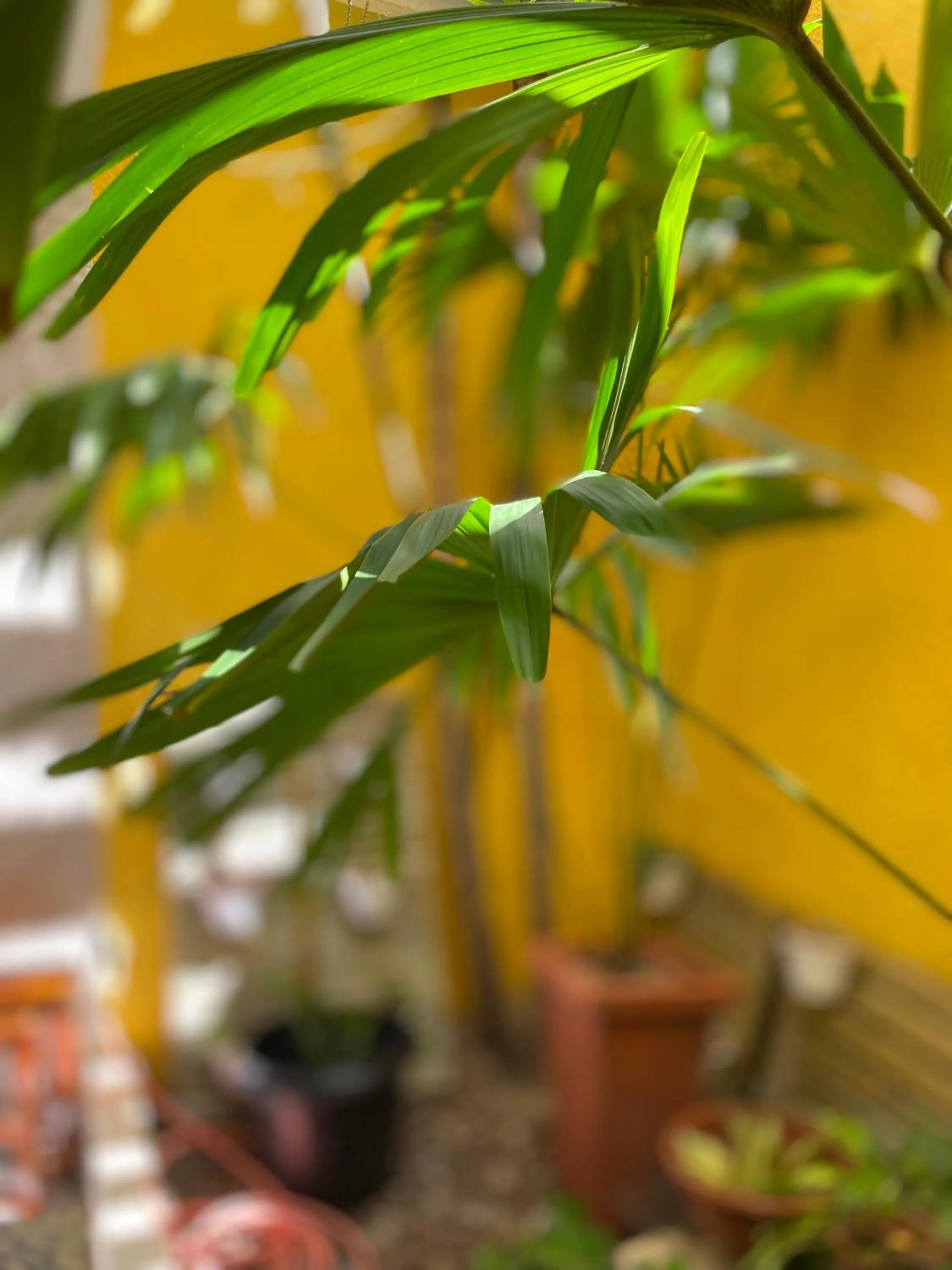 Area and facilities in Center 1 Hotel