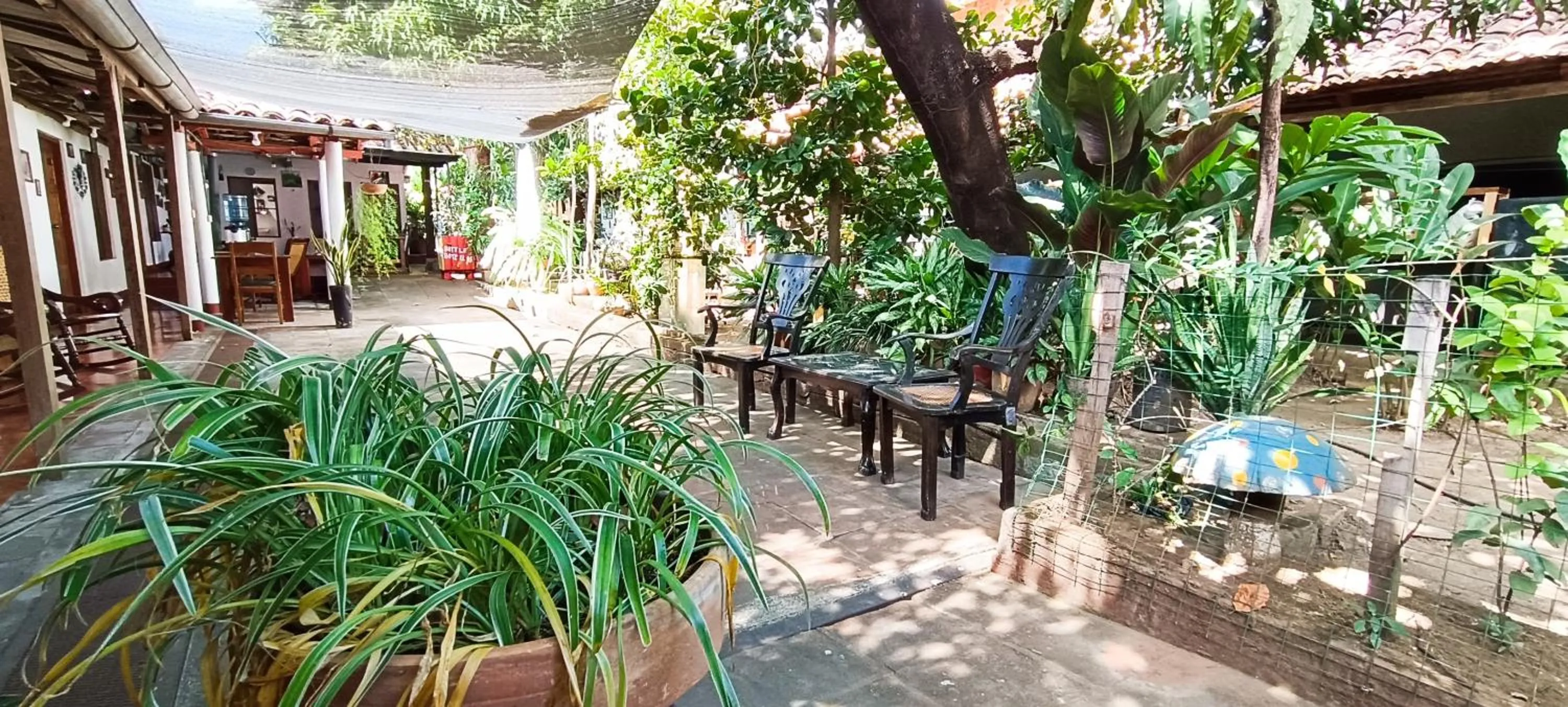 Garden view in Casa de Los Berrios