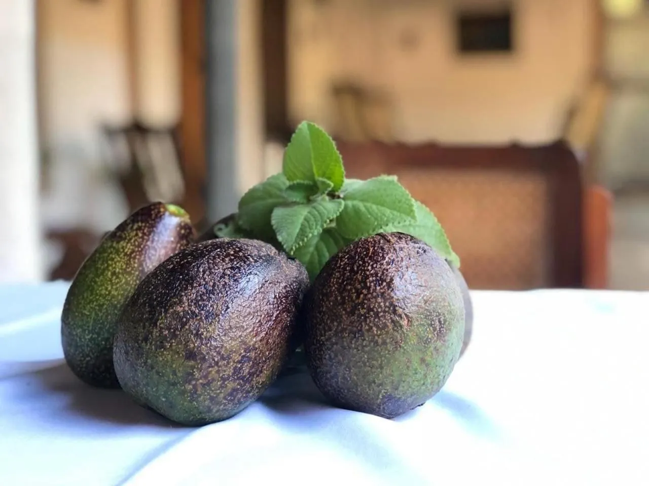 Property building in Casa de Los Berrios