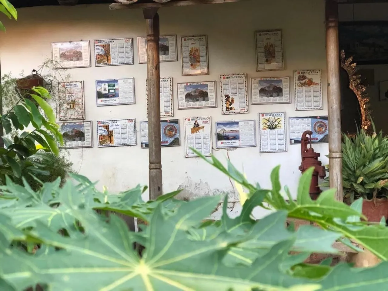 Garden in Casa de Los Berrios