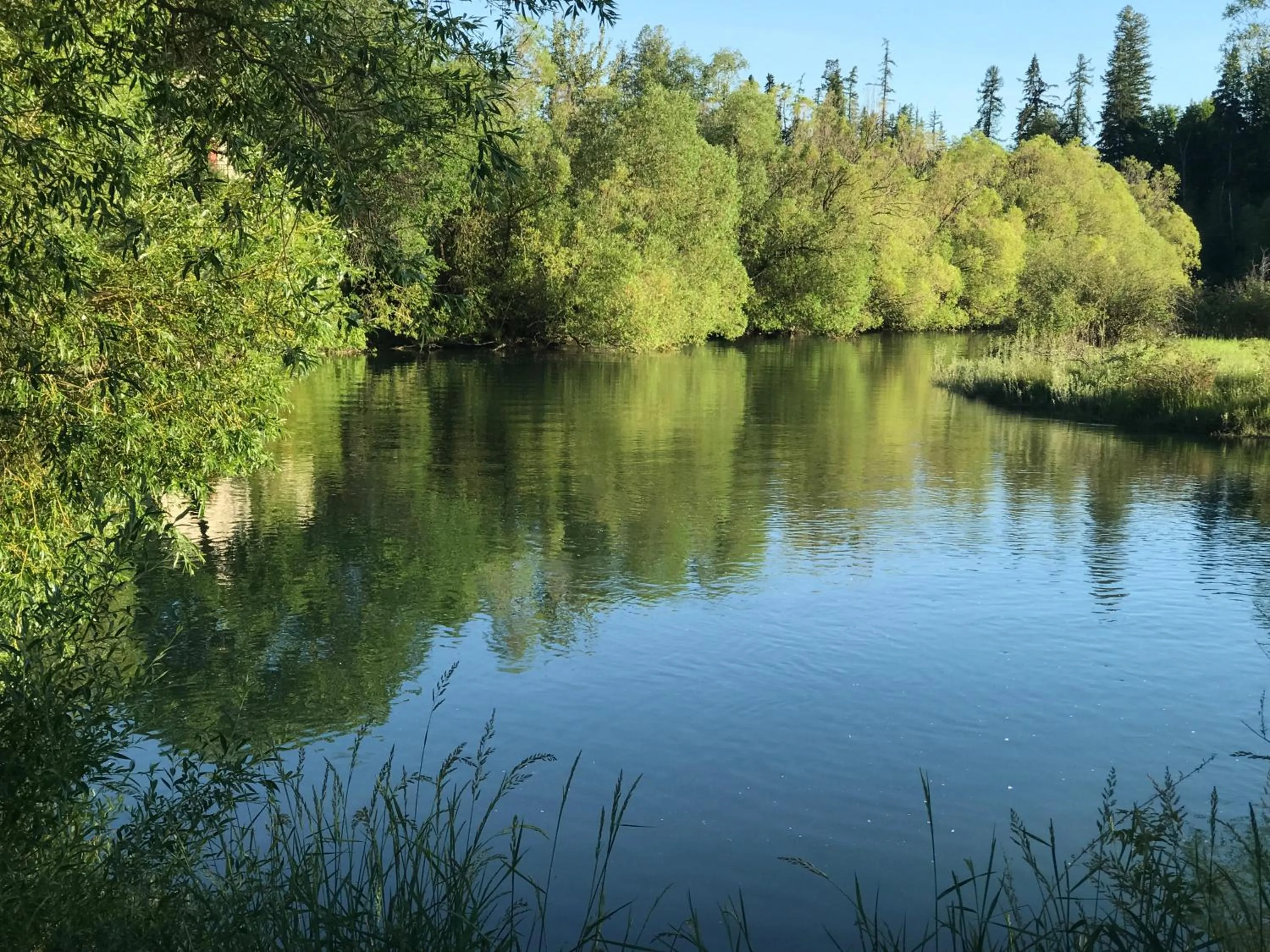 River view in Good Medicine Lodge