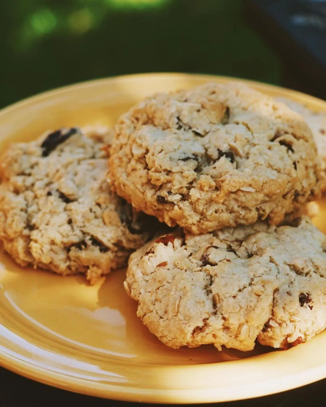 Food in Good Medicine Lodge