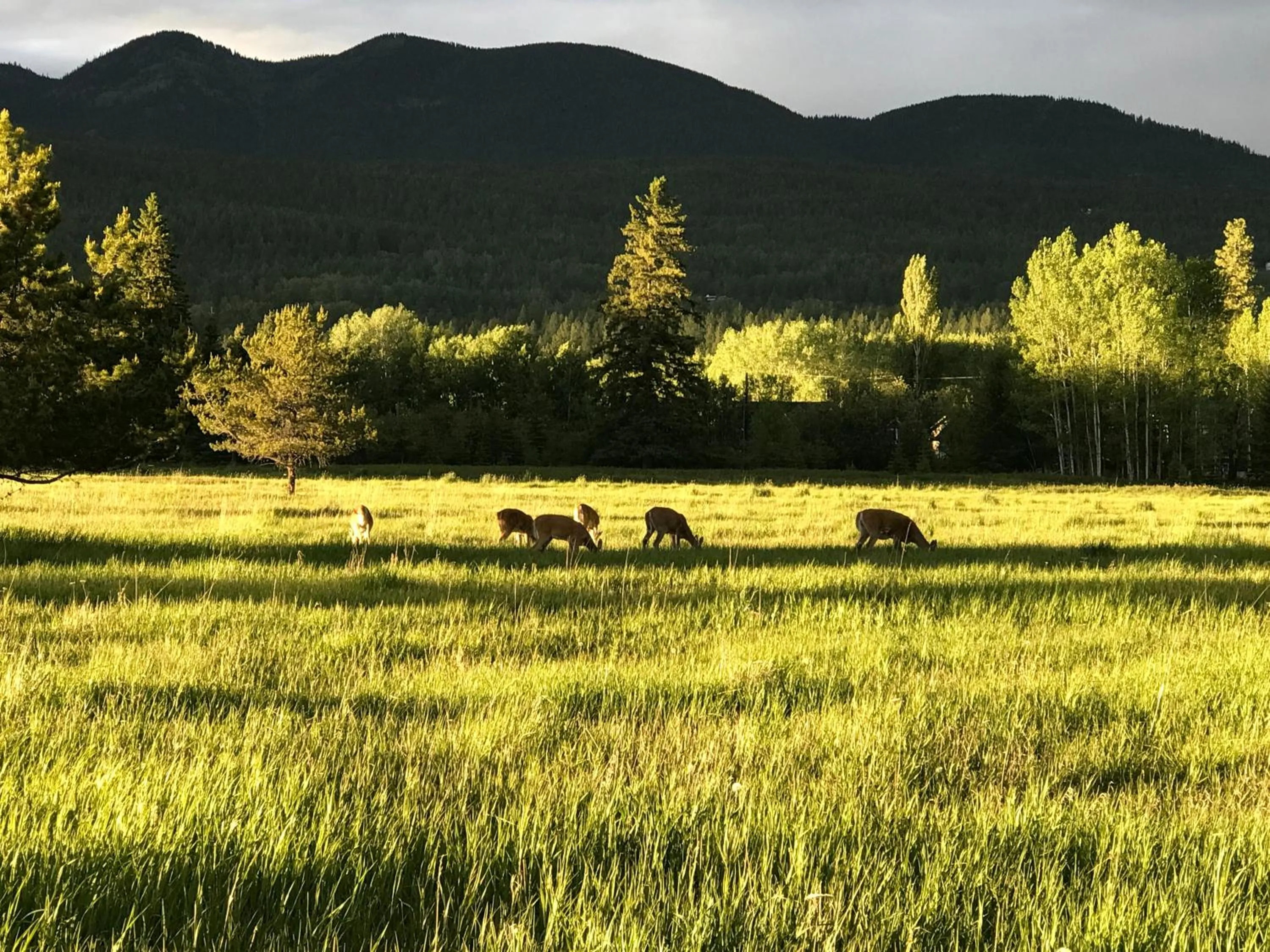 Natural landscape in Good Medicine Lodge