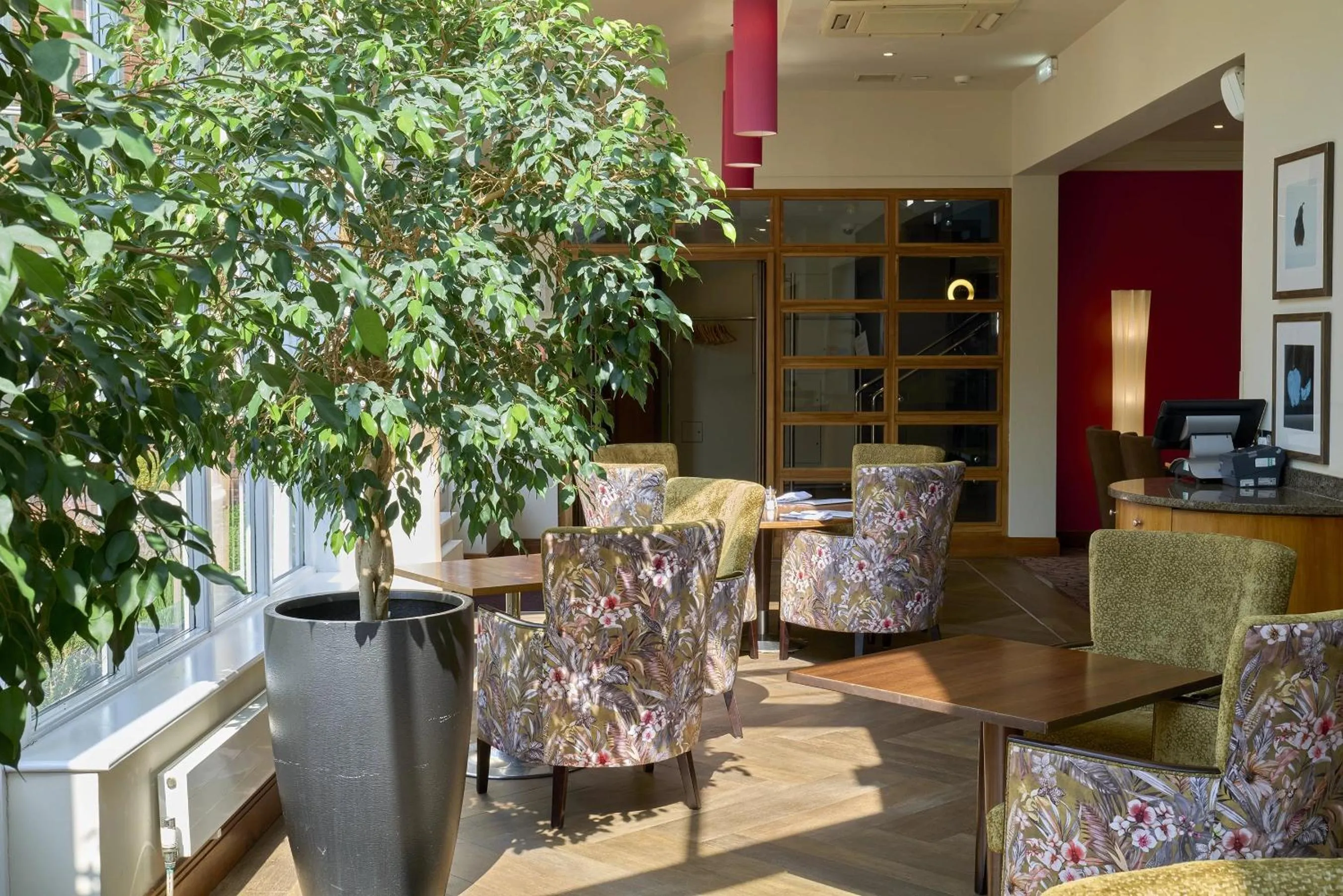 Restaurant/places to eat in The Bull