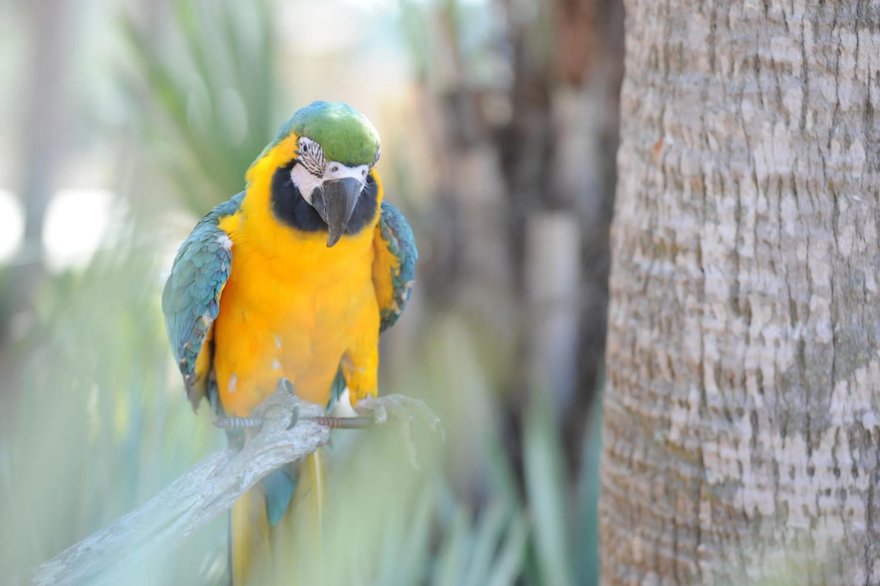 Sandestin Golf and Beach Resort