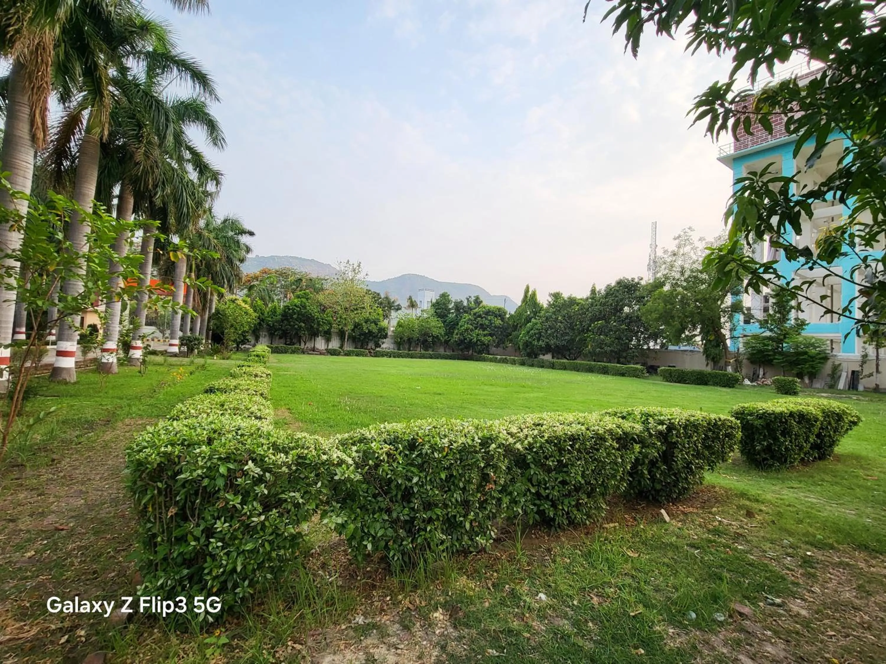 Garden in The Rajgir Residency