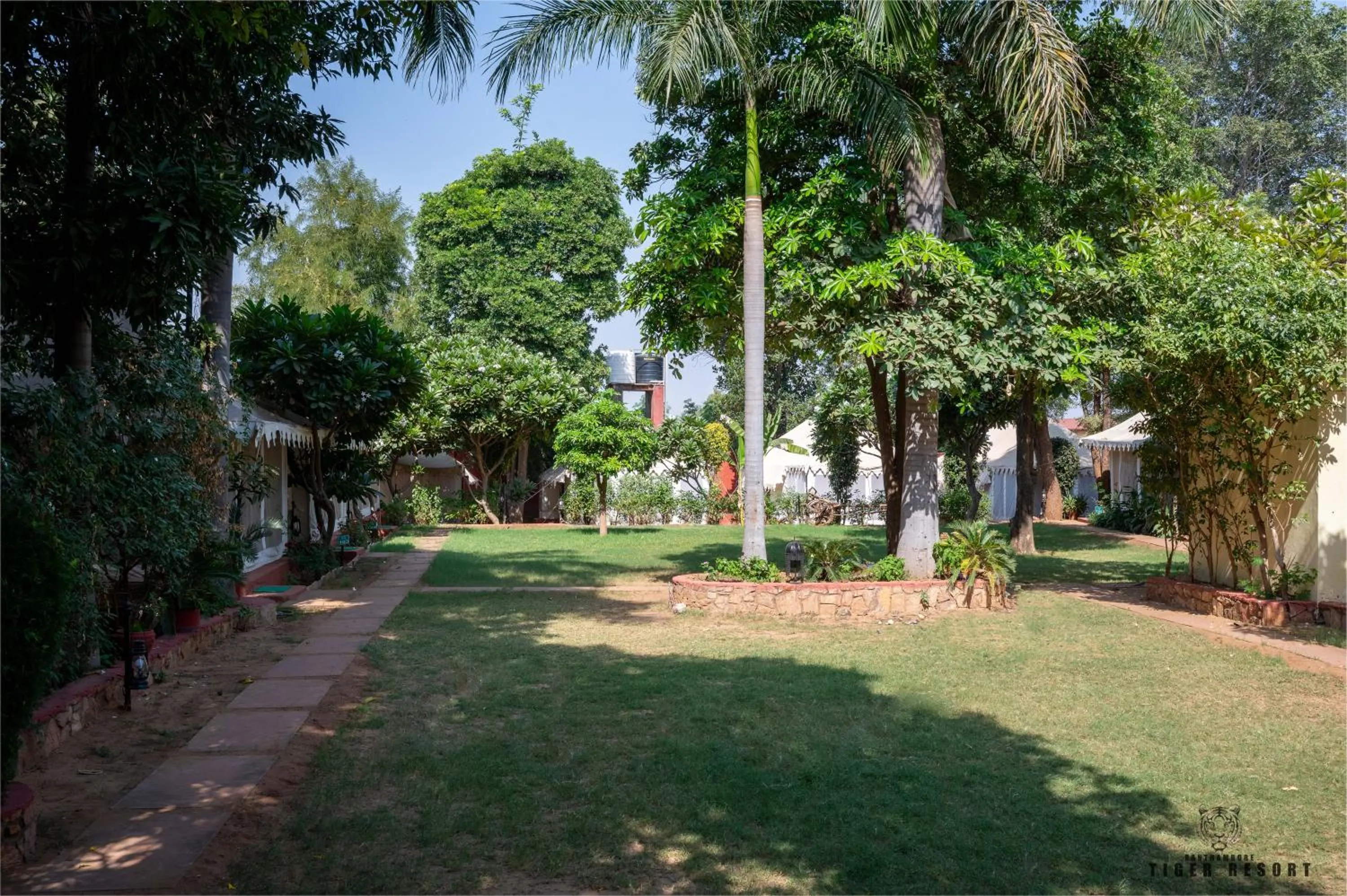 Day in Ranthambore Tiger Resort