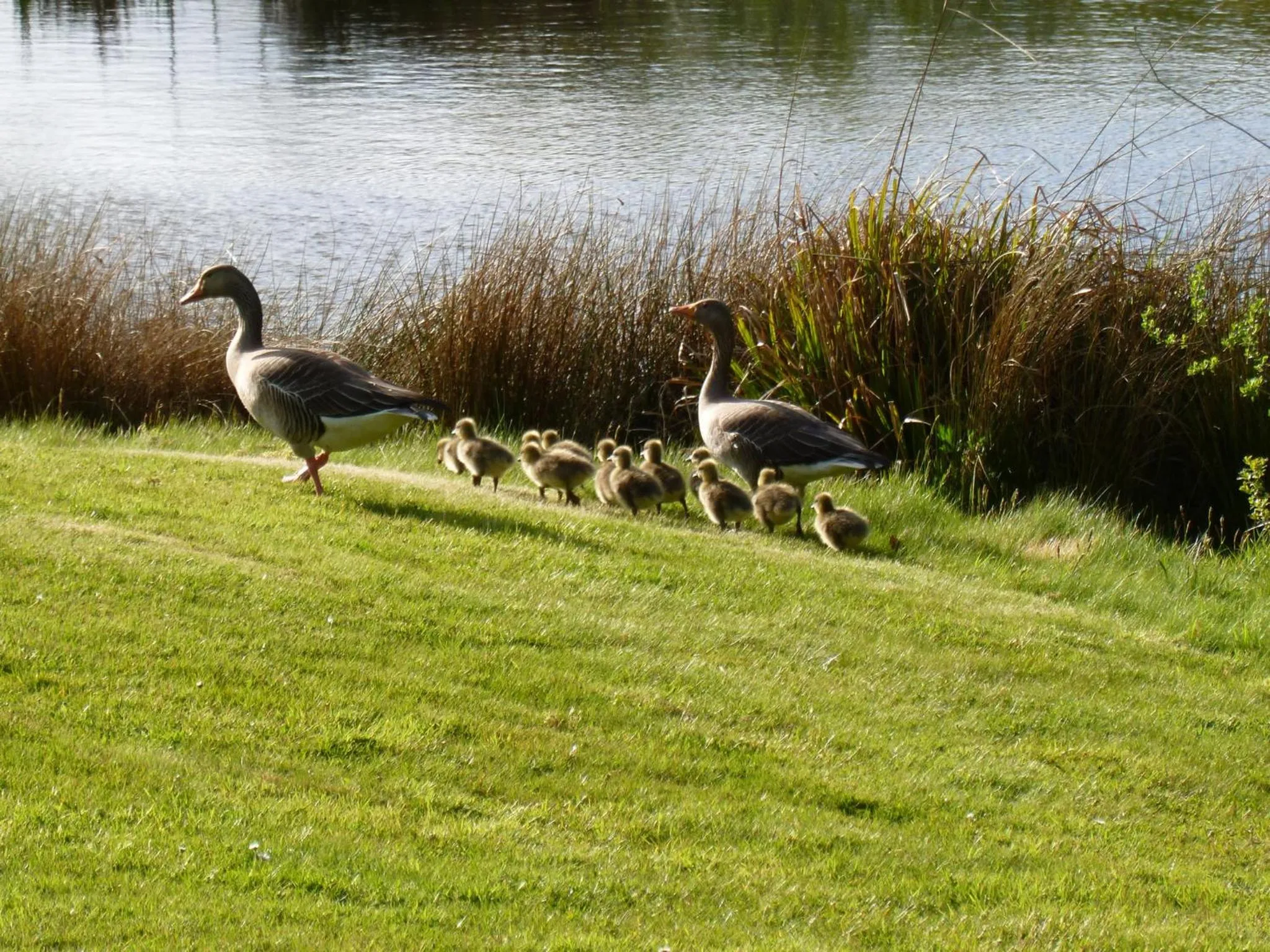 Facade/entrance in London Beach Country Hotel & Golf Club
