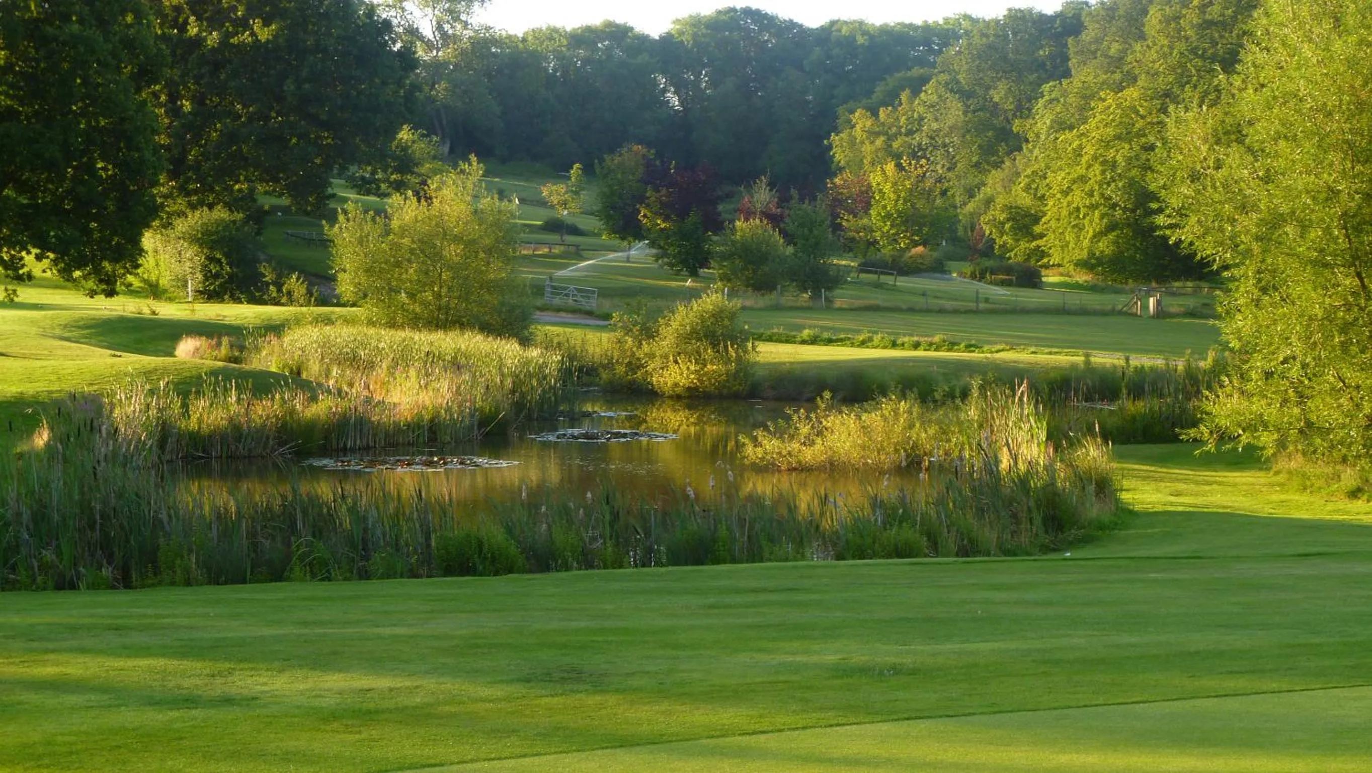 Natural landscape in London Beach Country Hotel & Golf Club