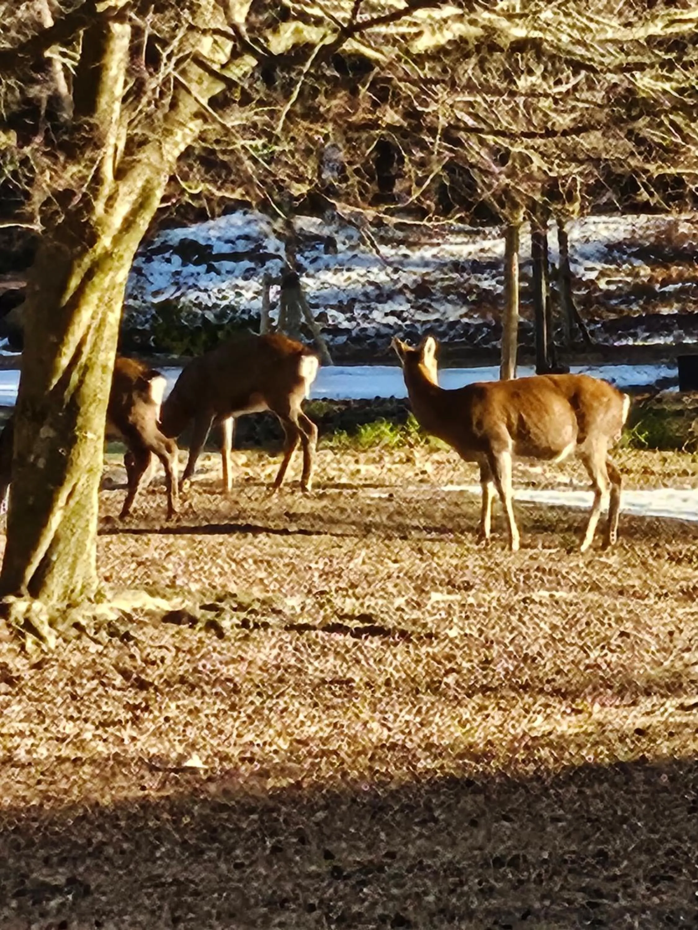 Off site in Motosu Phoenix Hotel