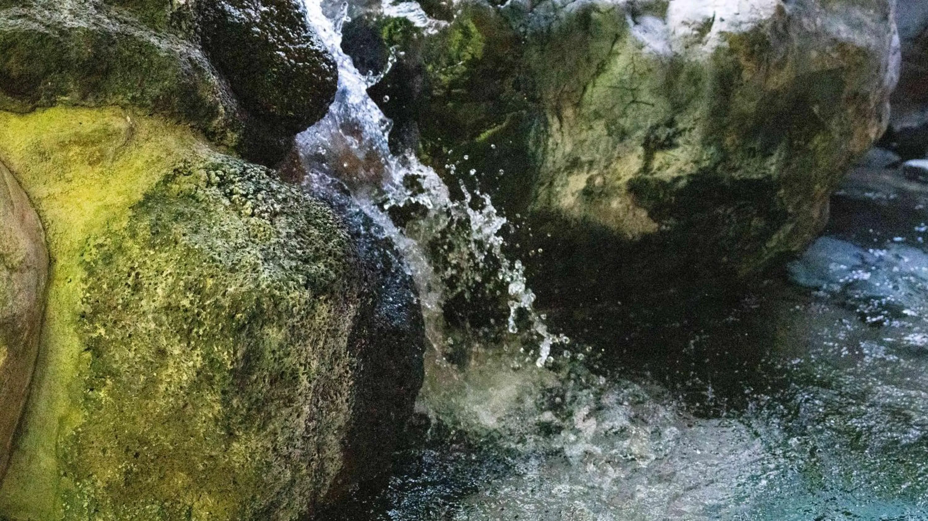 Day in Motosu Phoenix Hotel