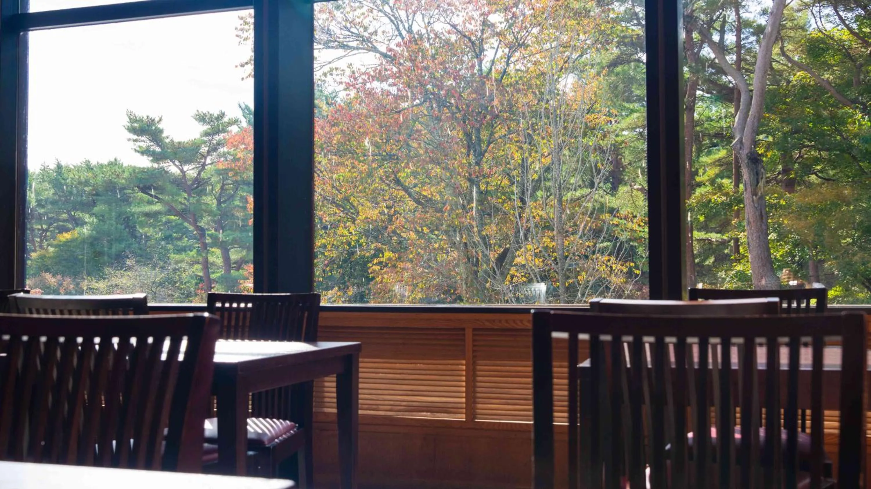 Spring in Motosu Phoenix Hotel