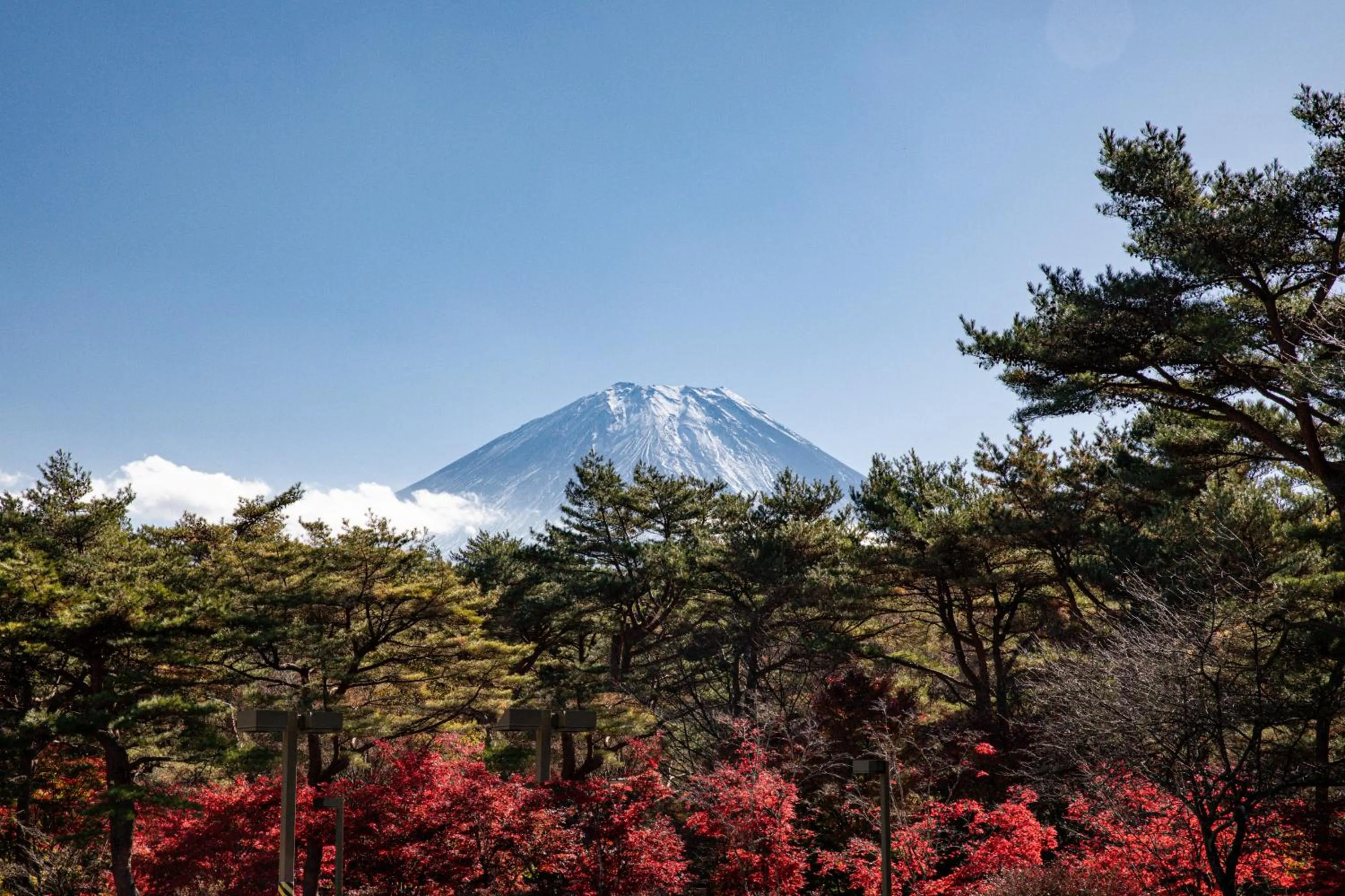 Natural landscape in Motosu Phoenix Hotel