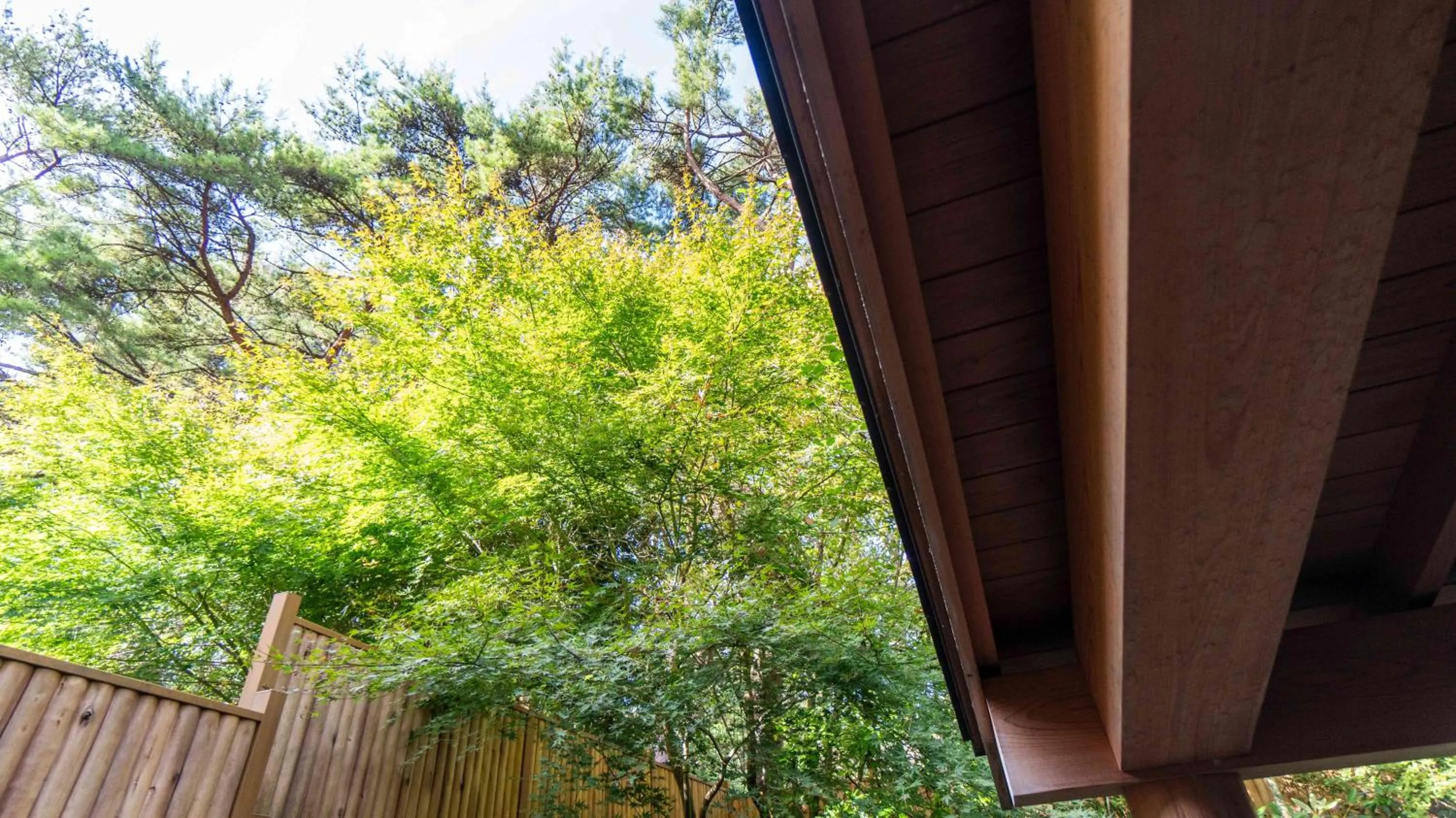 Spring in Motosu Phoenix Hotel