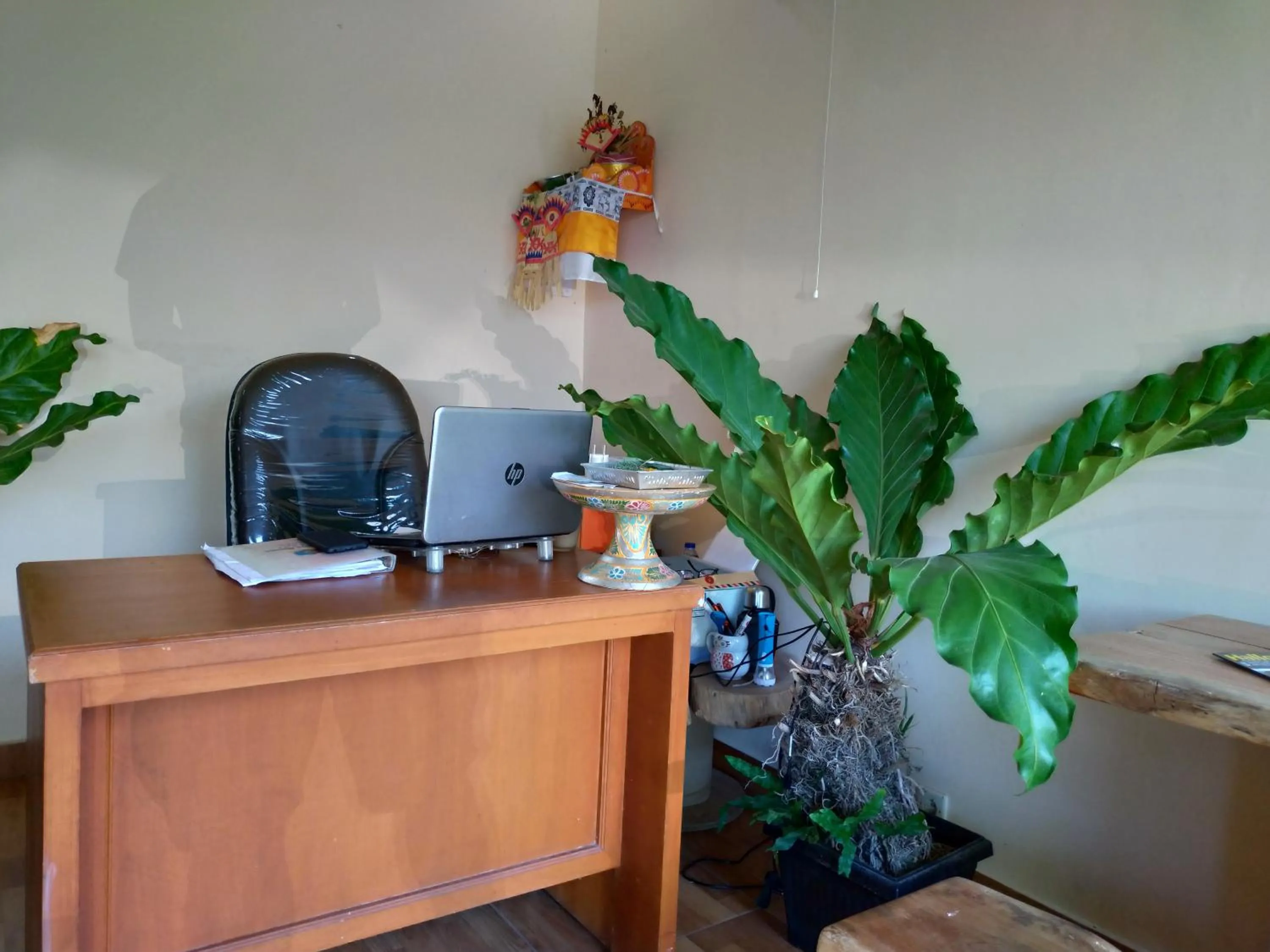 Lobby or reception in Beji Ayu Homestay