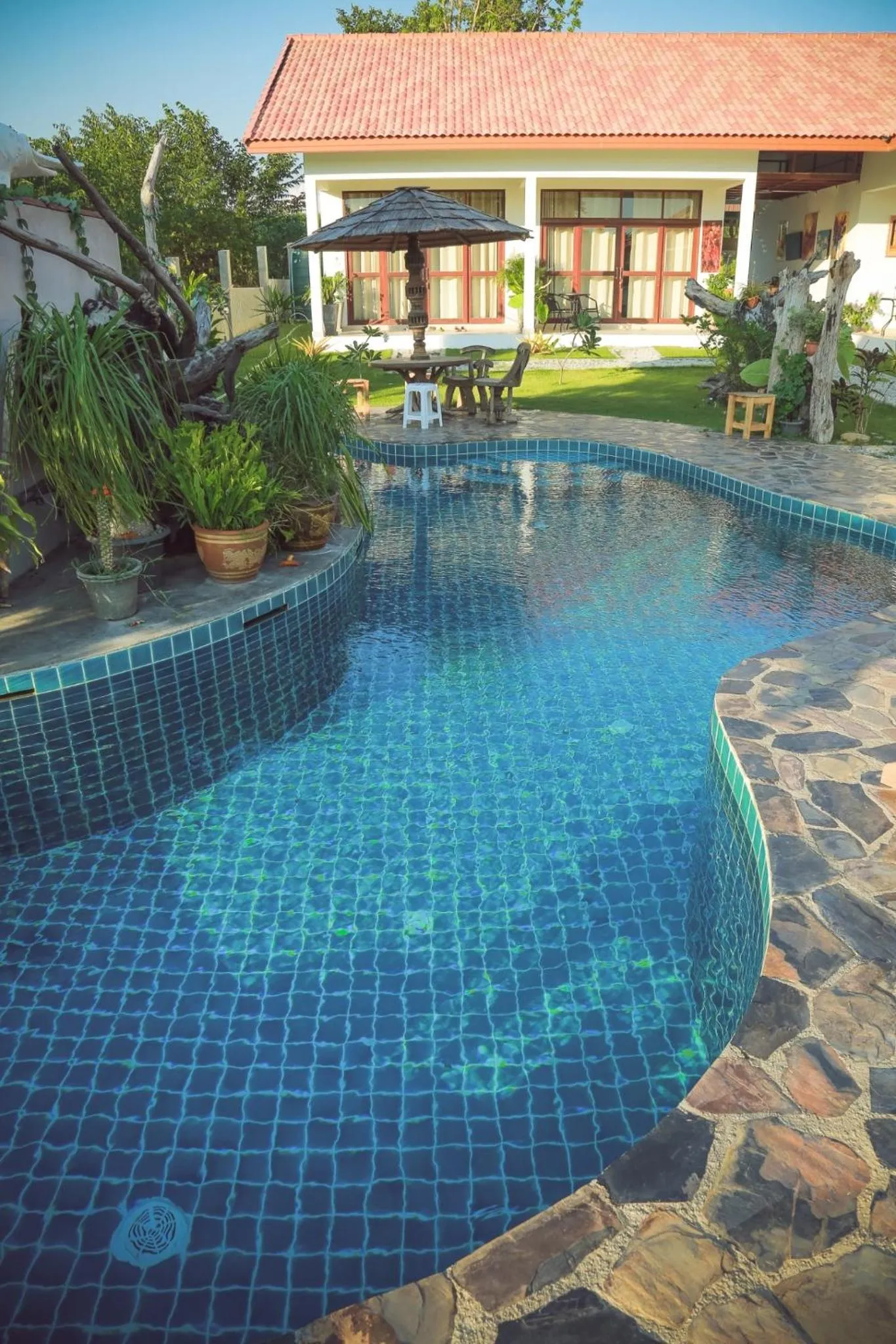 Swimming pool in Tree Roots Retreat