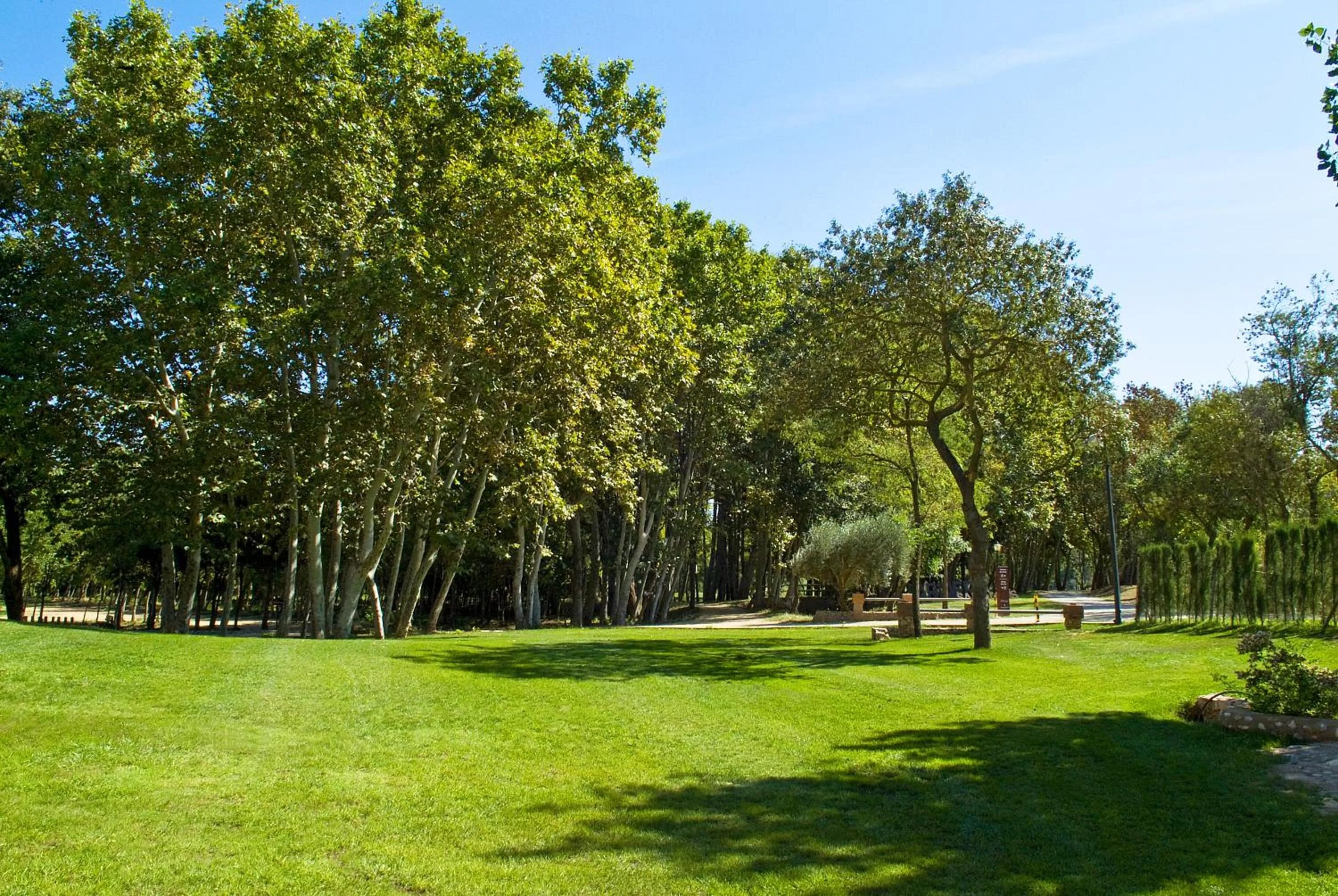 Off site in Masos Can Sot