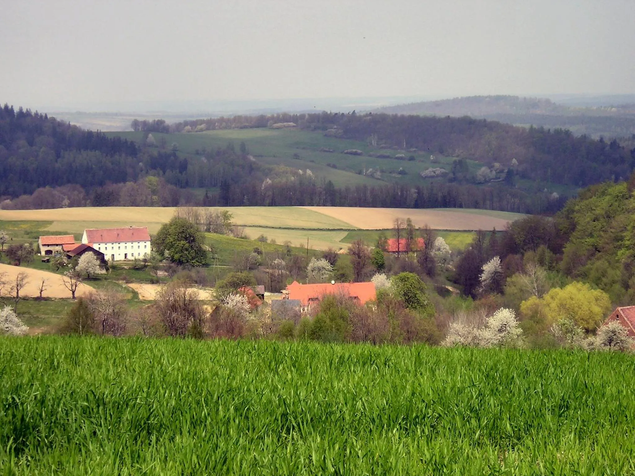 Natural landscape in Pension Lenno we Wleniu