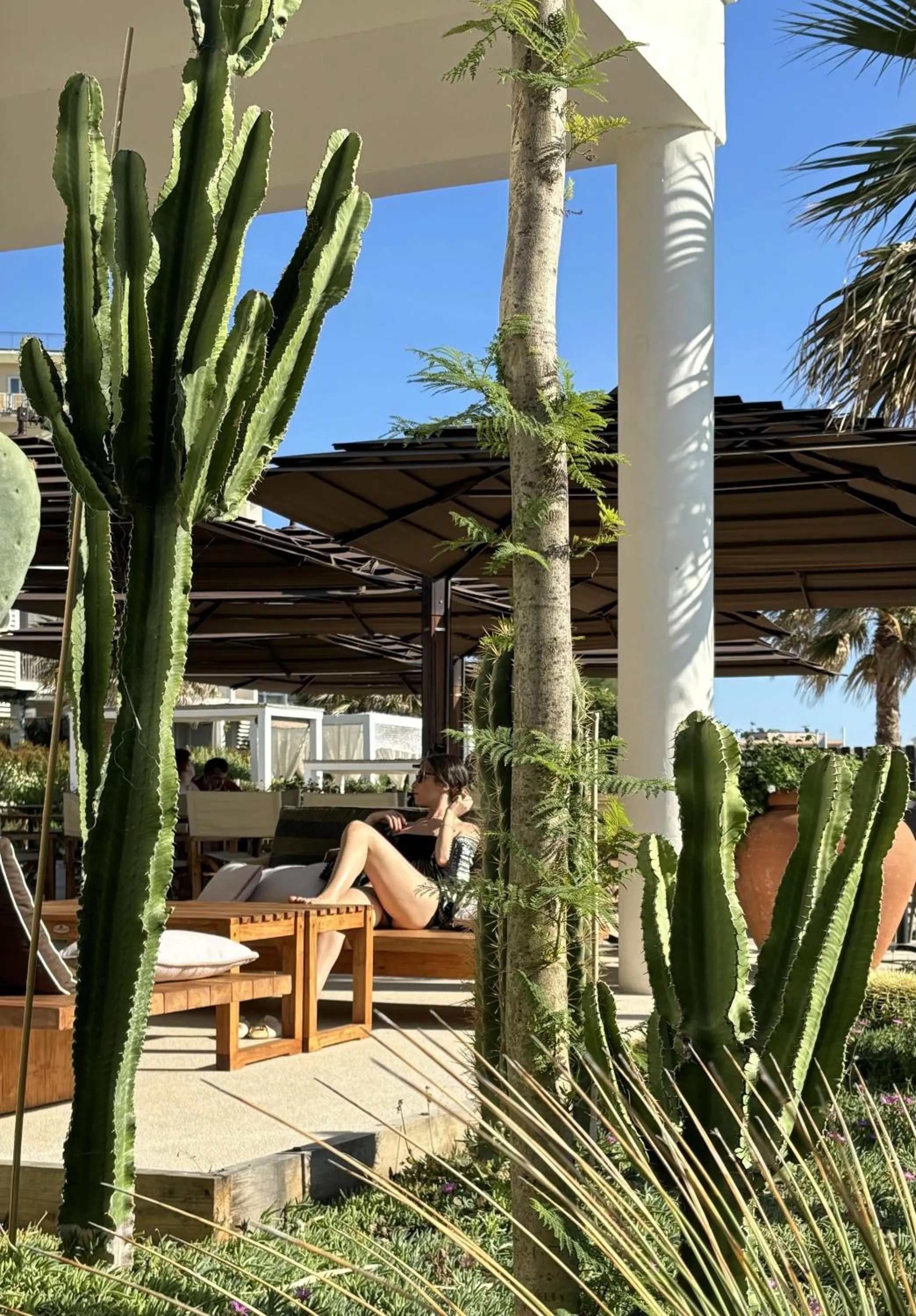 Garden in Ancora Resort