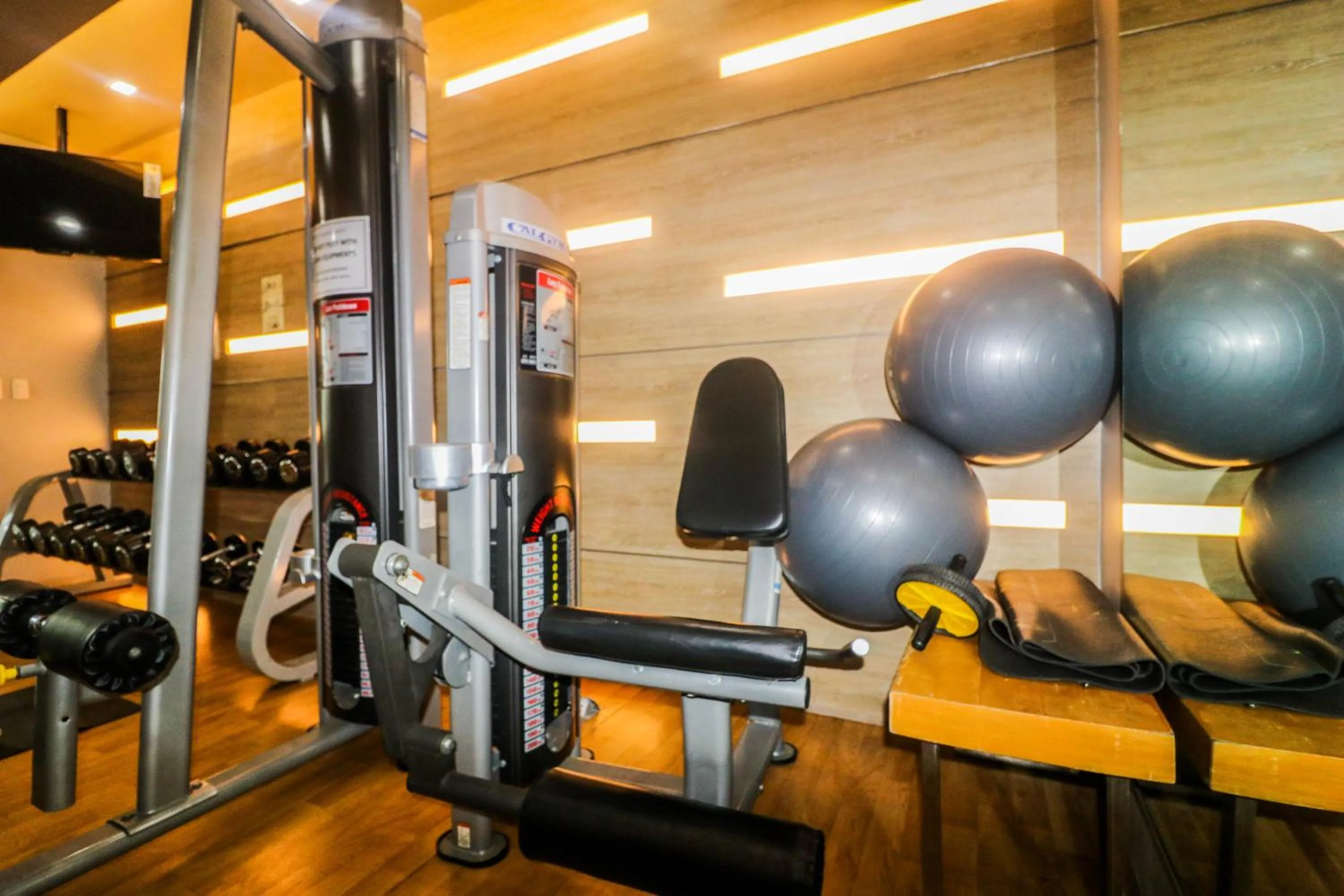 Fitness centre/facilities in PRS at One Palm Tree Villa near T3 Airport