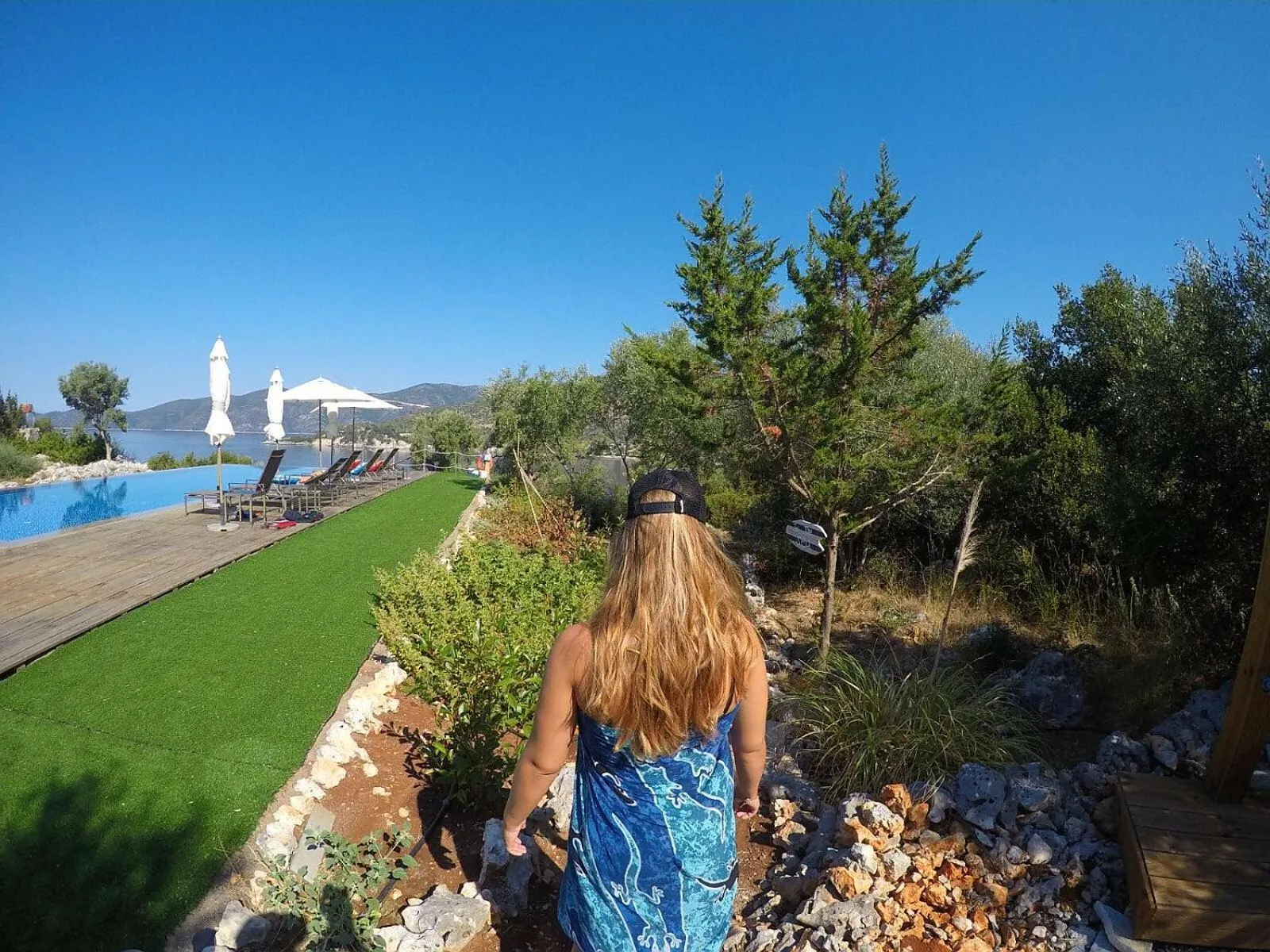 Garden view in Villa Del Mar