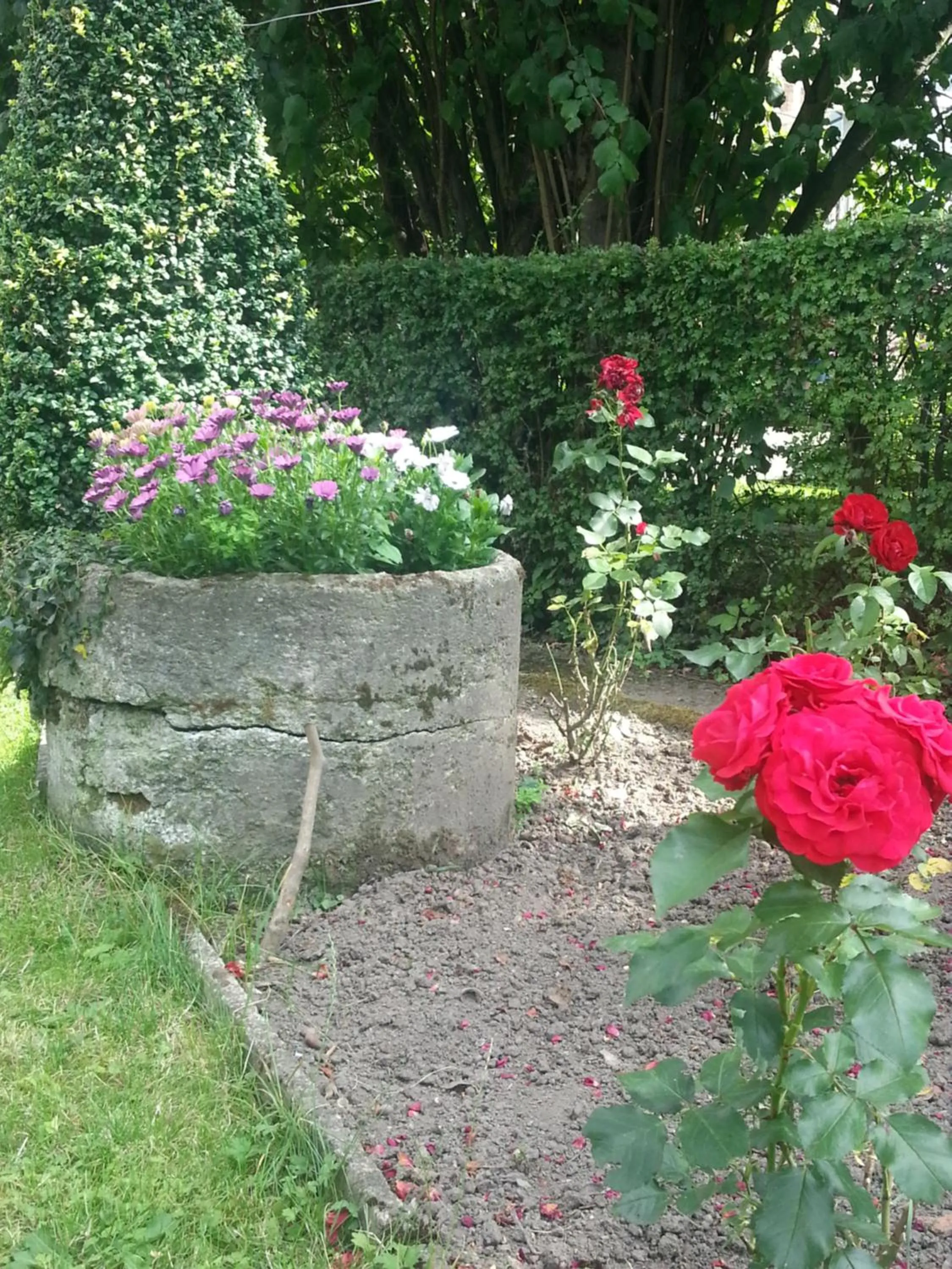 Garden in B&B Au Jardin Fleuri