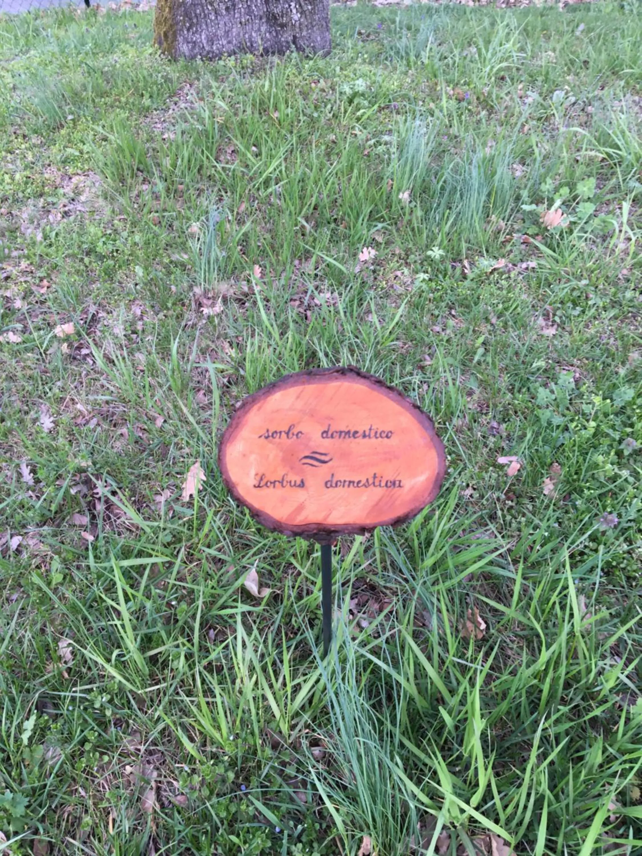 Text overlay in La Locanda nel vento