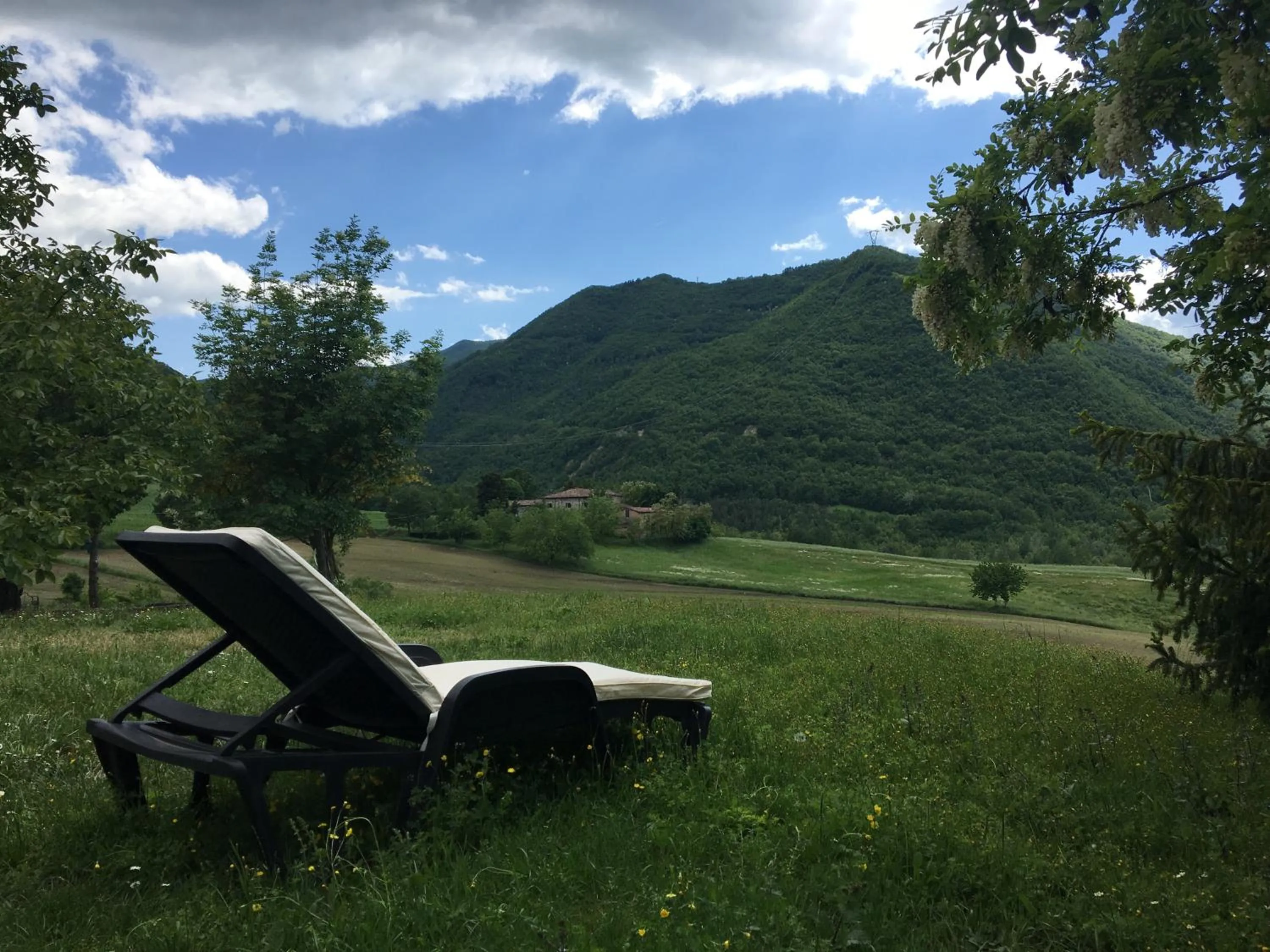 Garden in La Locanda nel vento