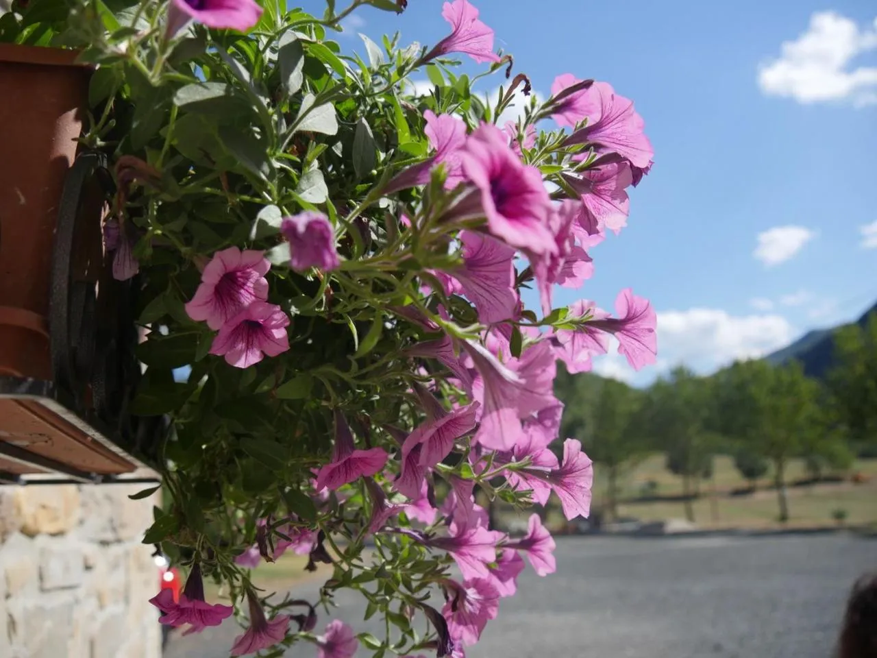 Patio in La Locanda nel vento