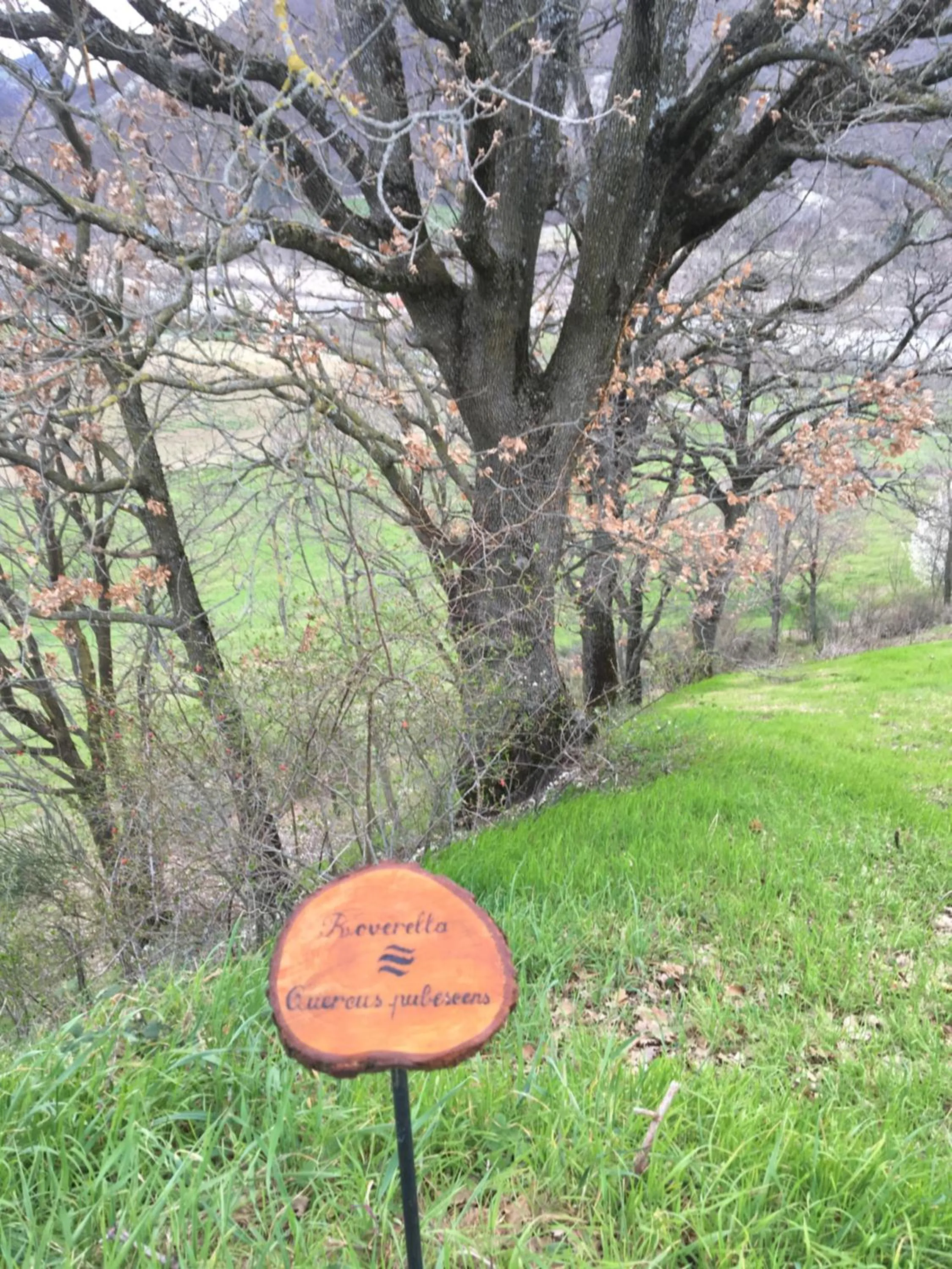 Garden in La Locanda nel vento