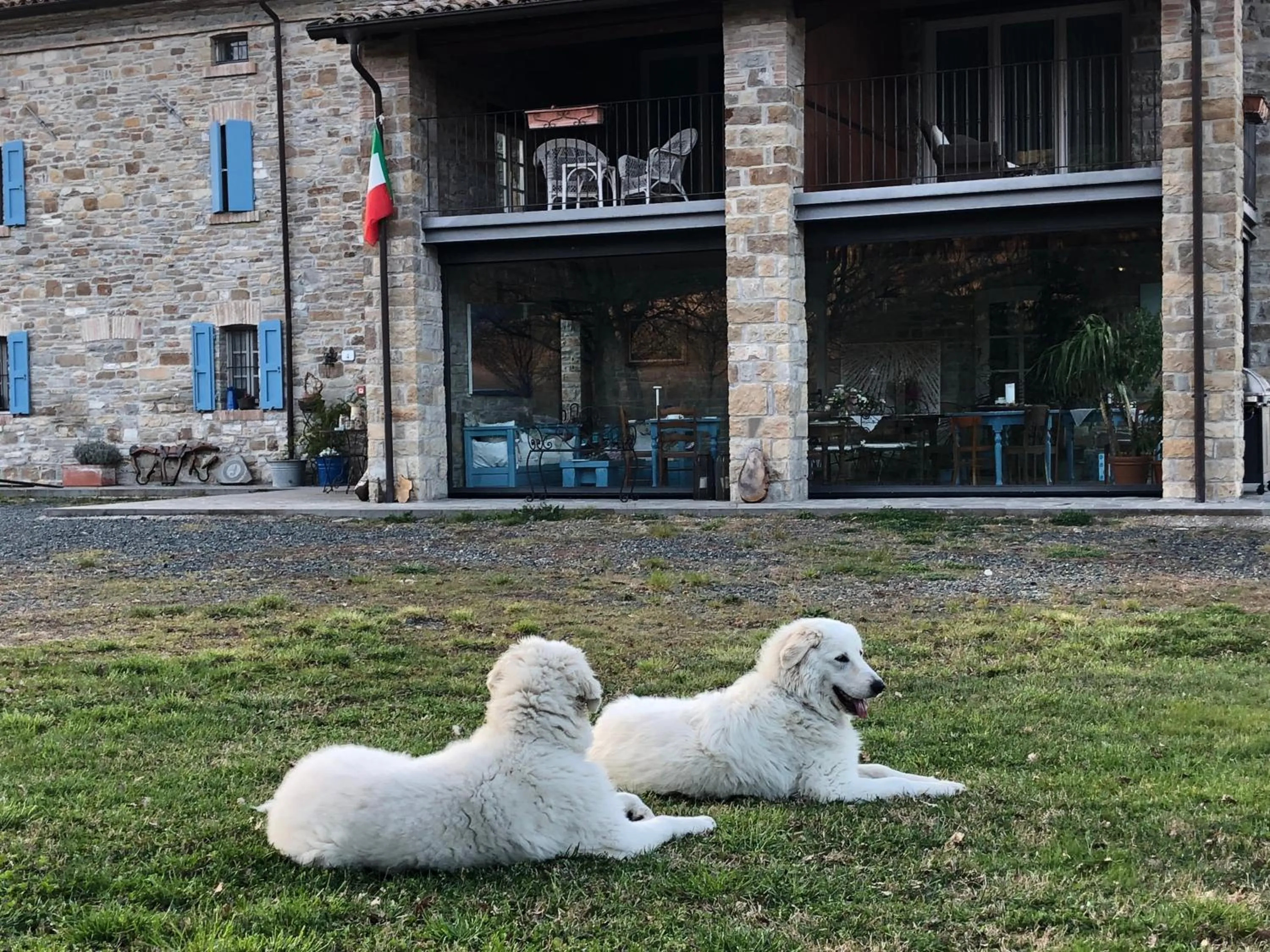 Pets in La Locanda nel vento