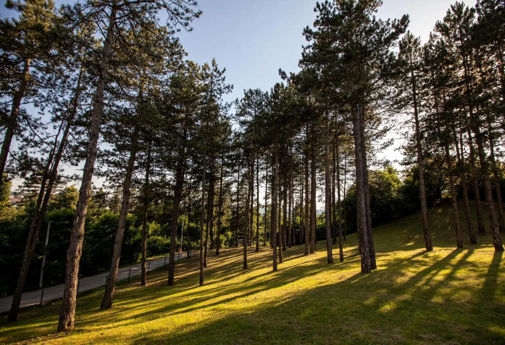 Restaurant/places to eat in Hotel Babino Brdo