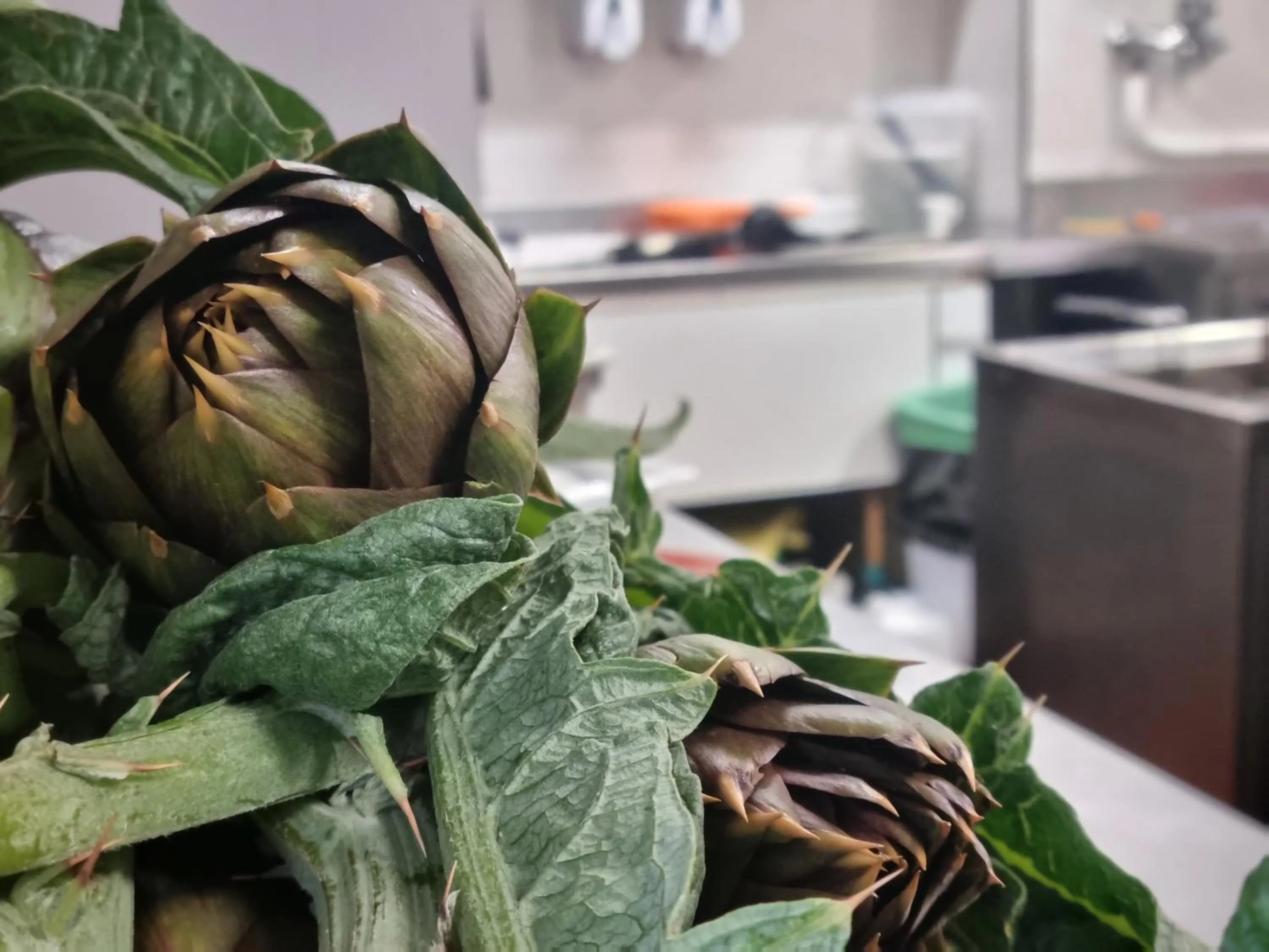 Restaurant/places to eat in Residence La Palma