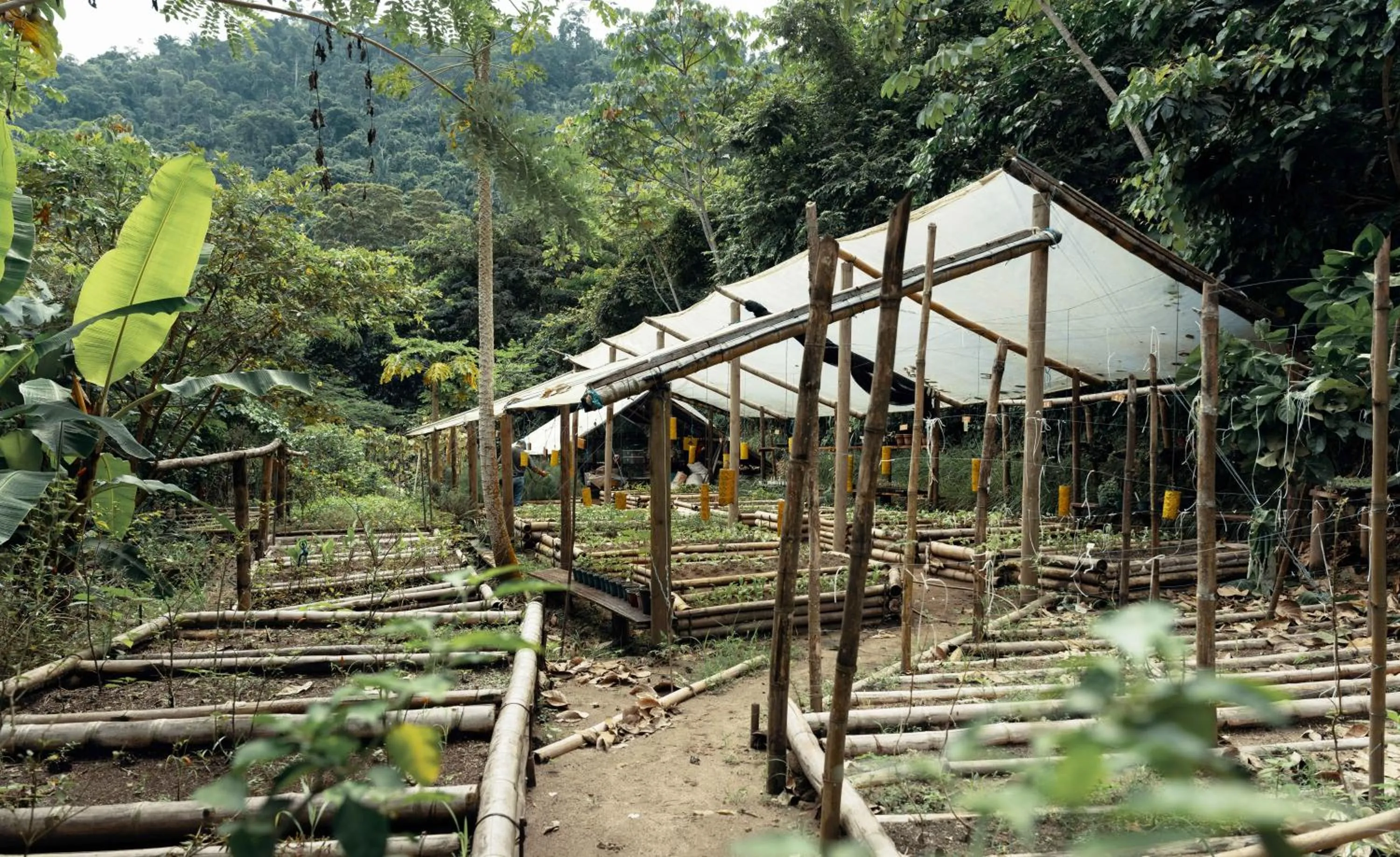 Off site in ONE Santuario Natural