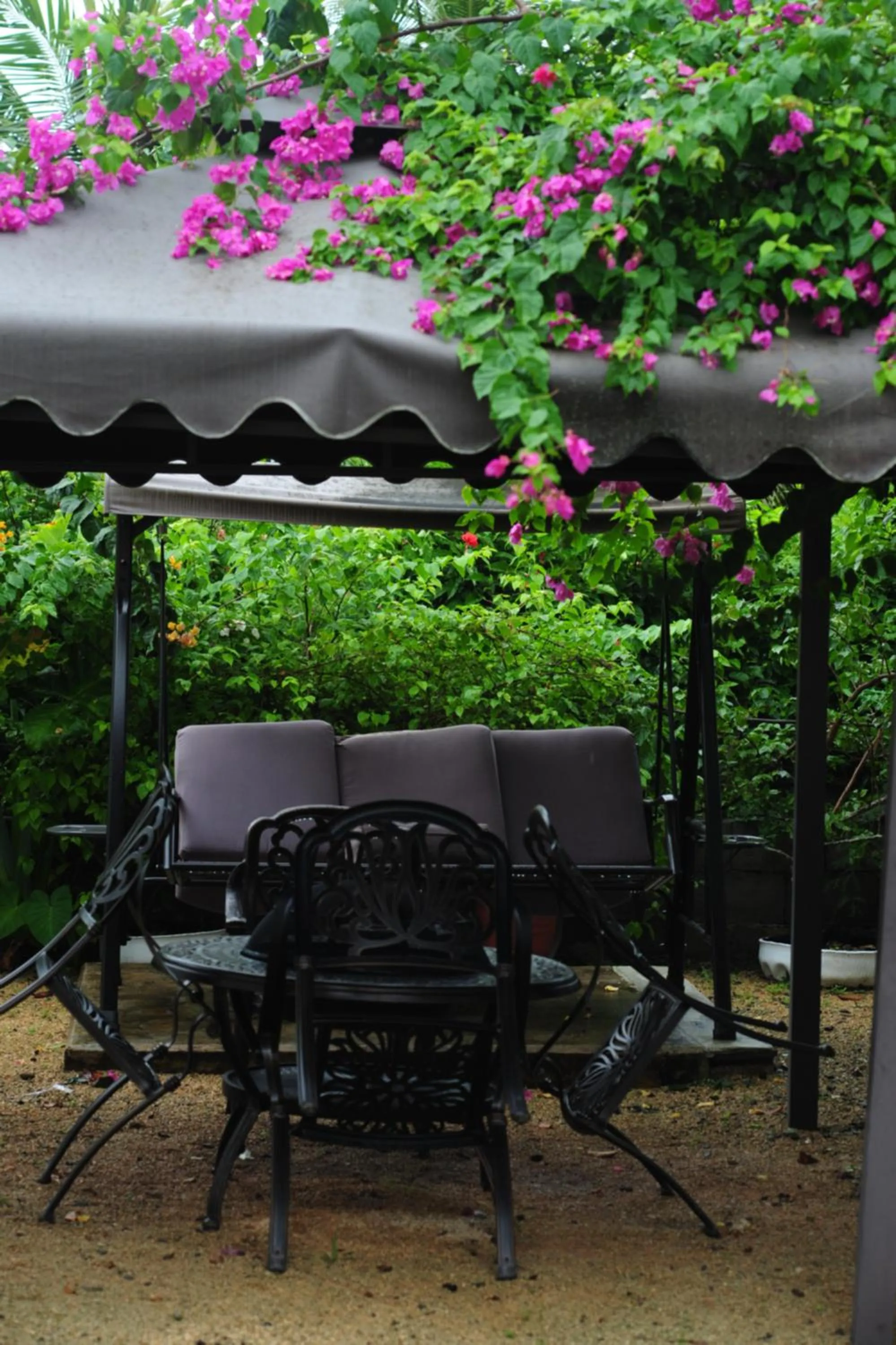 Natural landscape in Shell Villa apartel resort