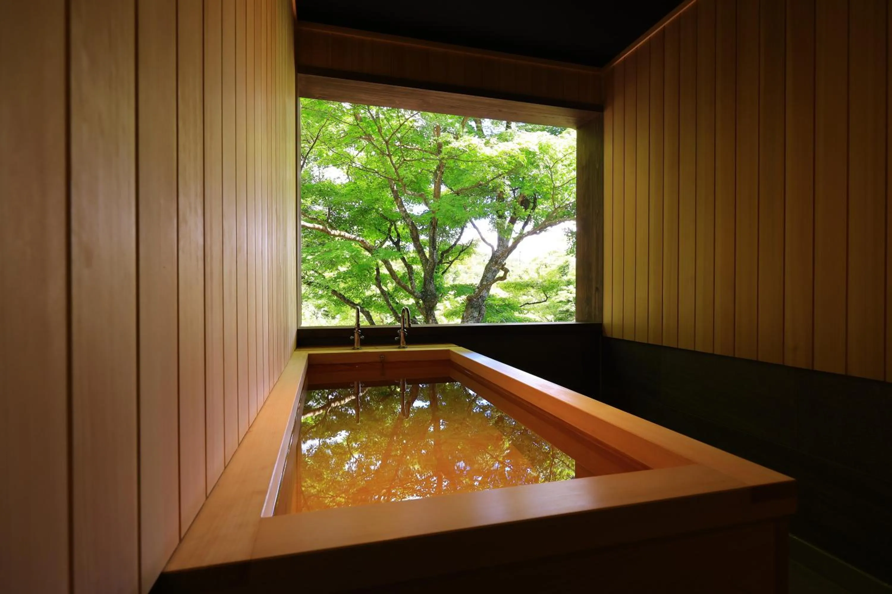 Hot Spring Bath in Matsuzakaya Honten
